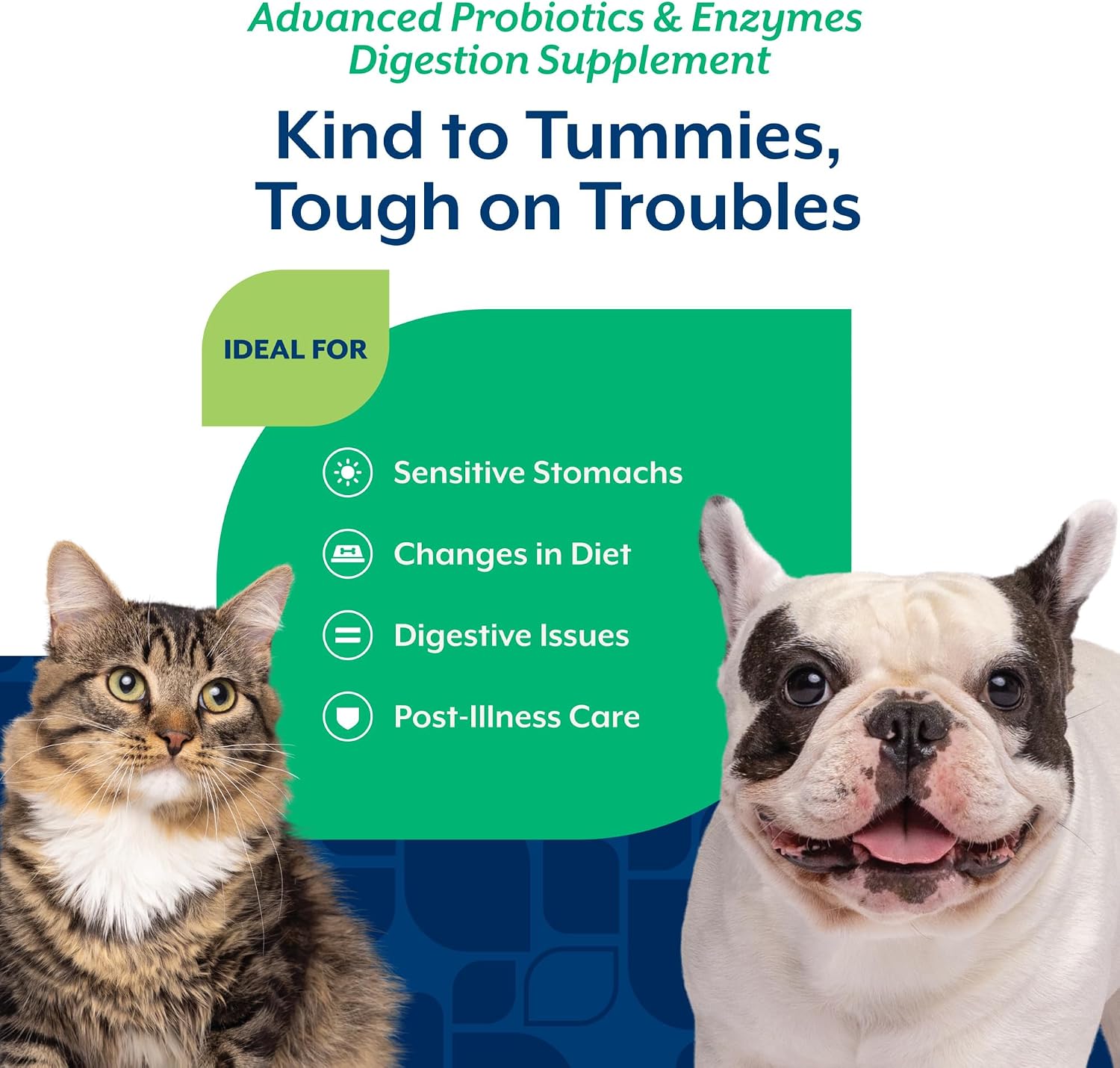 NaturVet Digestive Enzymes with Pre & Probiotic for Dogs & Cats - 8 oz | Supports Diet Changes & a Healthy Digestive Tract with Prebiotics, Powder