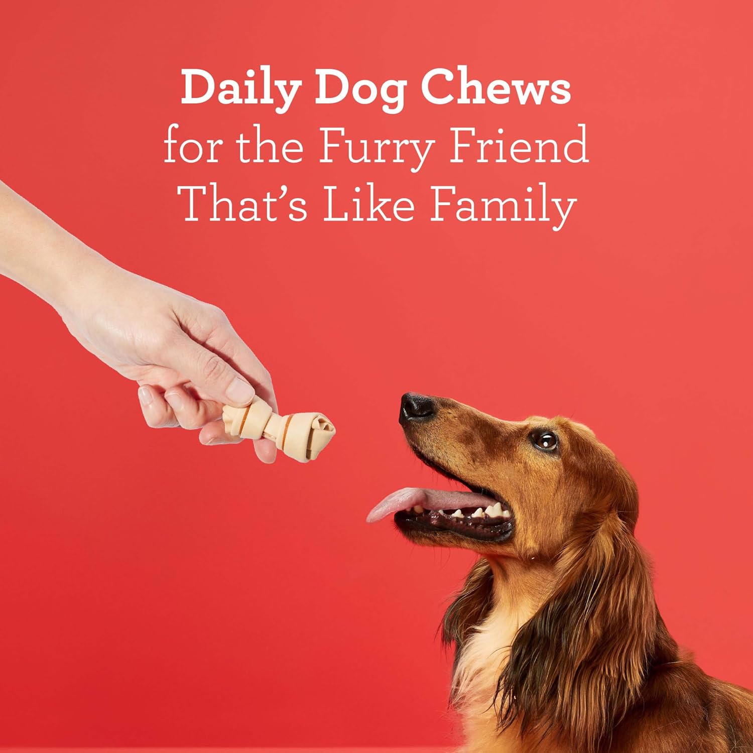 DreamBone Mini Bone Rawhide-Free Dog Treats With Real Protein, 24 Count | Daily Chew, Digests Safely and Completely, Made With Real Protein, Chicken and Veggies, For Adult Dogs