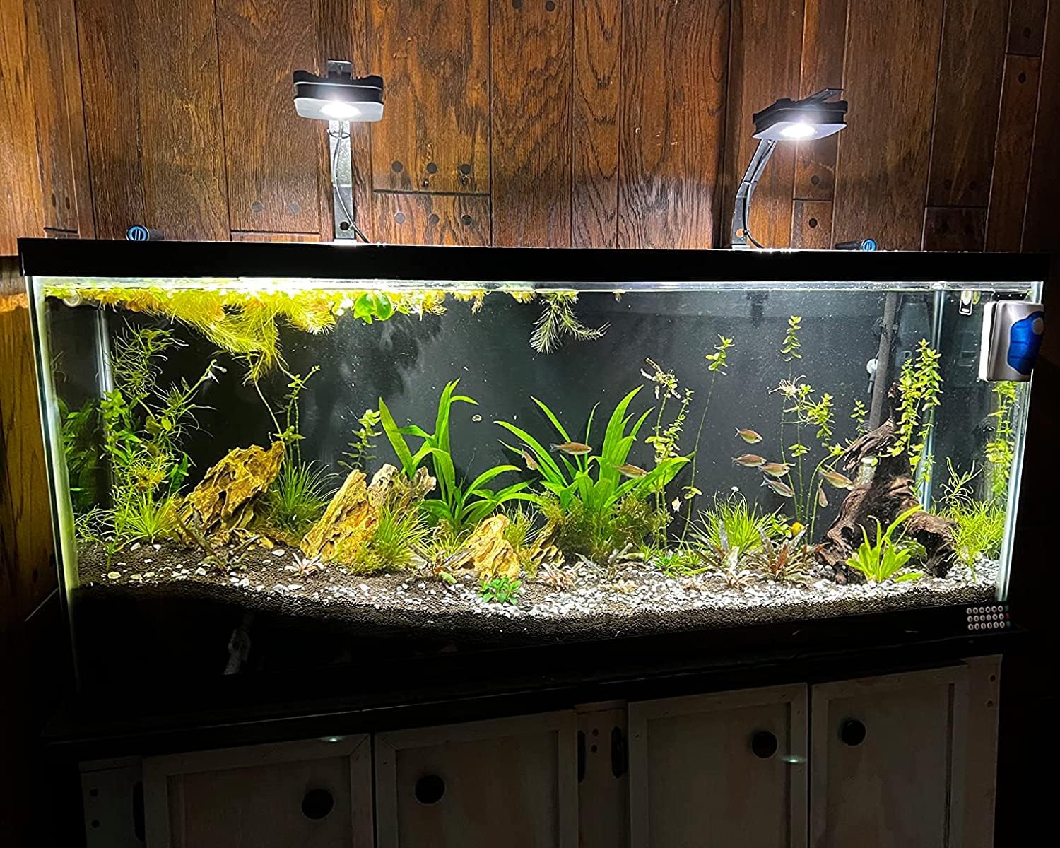 Lominie LED Aquarium Light, Planted Tank Light 4 Channels Remote Control 6500K Aquarium LED Lamp for Freshwater Fish Tank Refugium with Gooseneck (A20 Freshwater)