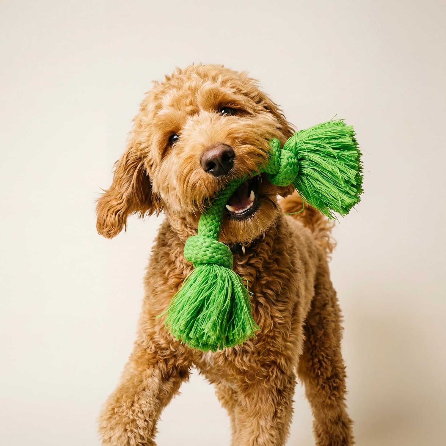 Playology Tug Rope Dog Toys for Large Breed Dogs - Jumbo, Beef Scent