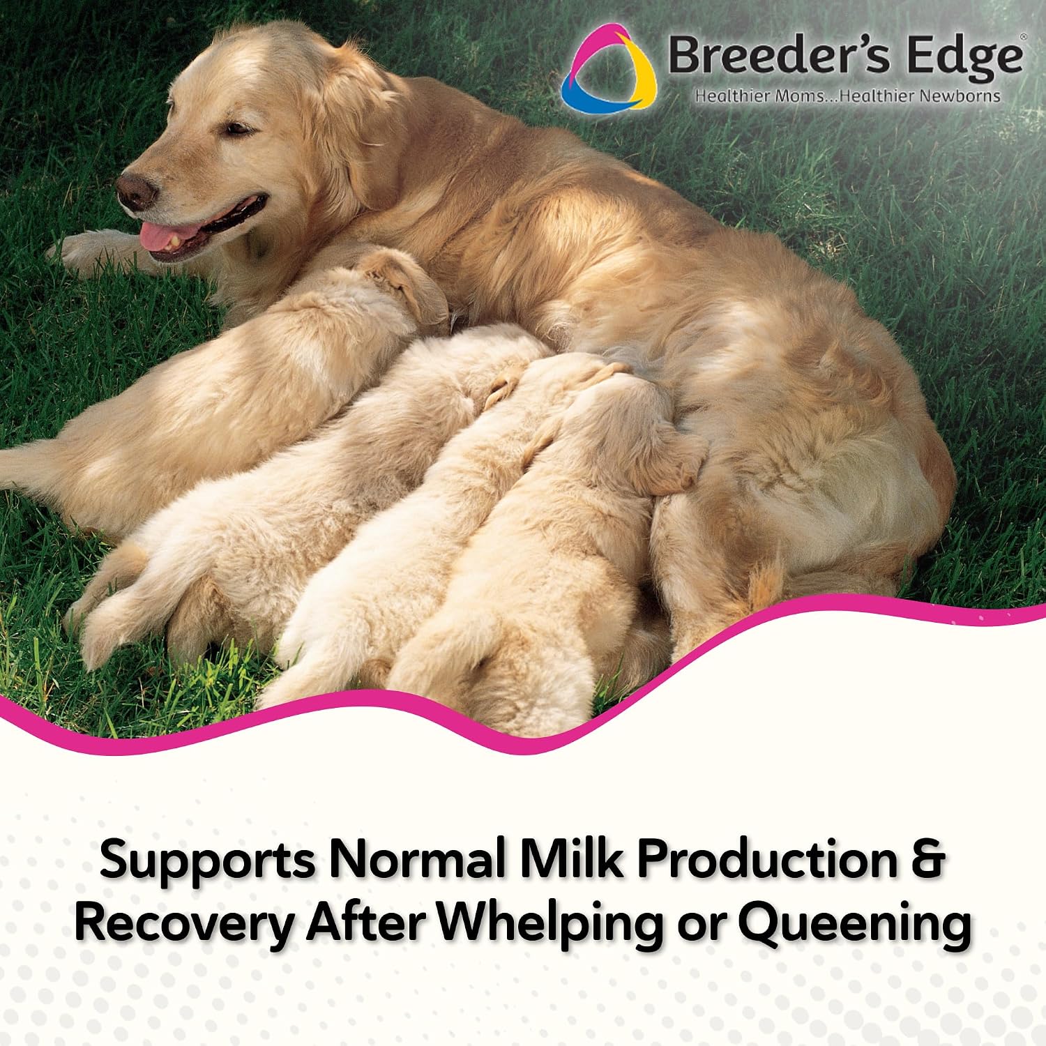 Breeder's Edge Oxy Momma Soft Chews, Postnatal Vitamin Supplement for Lactating Dogs and Cats, Supports Recovery, Hormones, and Next Pregnancy - for Medium & Large Dogs, 40ct Soft Chews