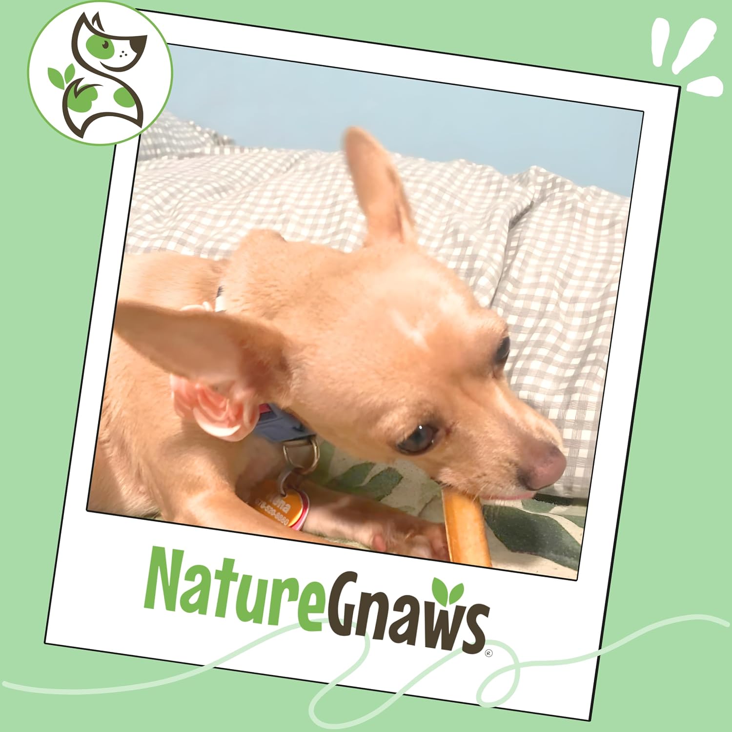 Nature Gnaws Bully Stick Bites 2-4" Rawhide Free for Small Dogs, 8 oz
