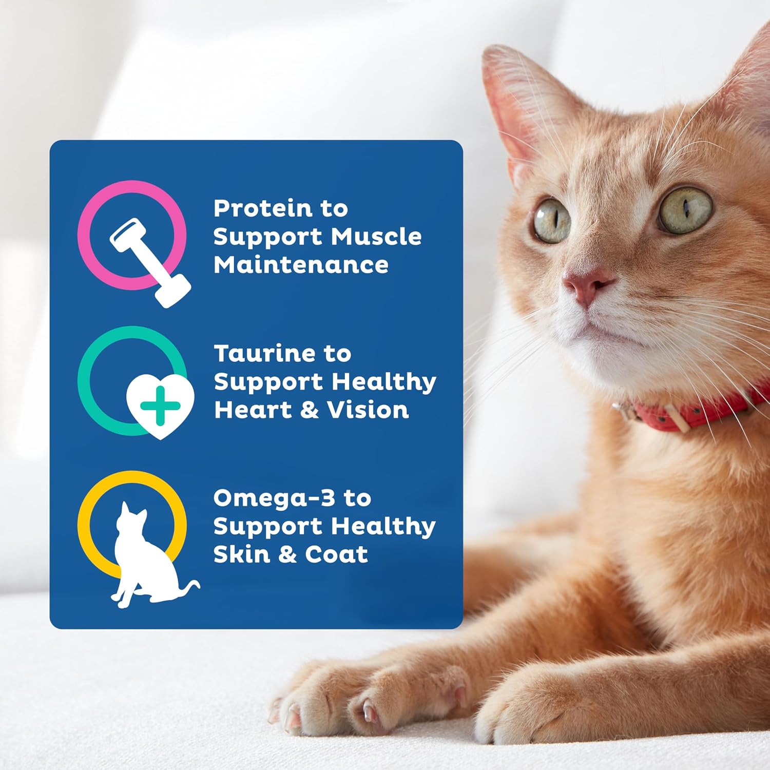 9Lives Daily Essentials Dry Cat Food, 20 Pound Bag