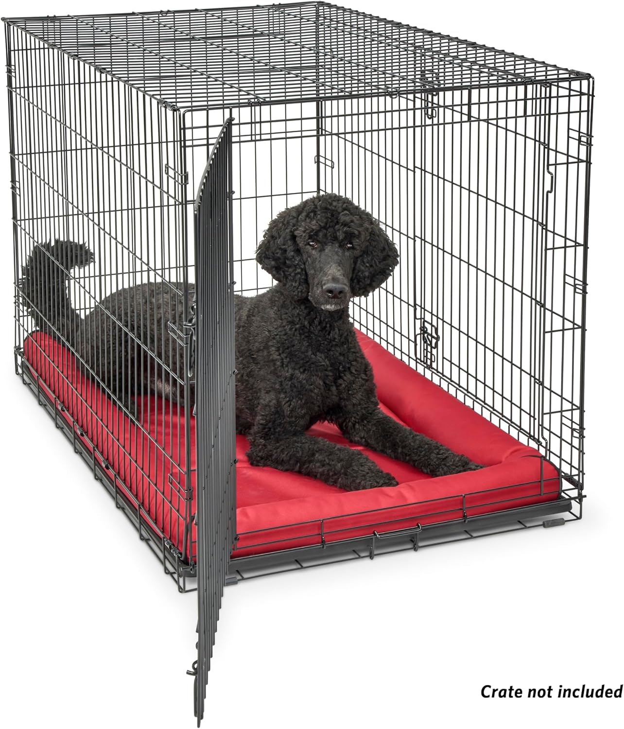 MidWest Homes for Pets Intermediate QuietTime MAXX Ultra-Rugged Dog Bed, Water & Odor Resistant, Bolstered Edge, Non-Slip Bottom, Fits 36-inch Crates, Black