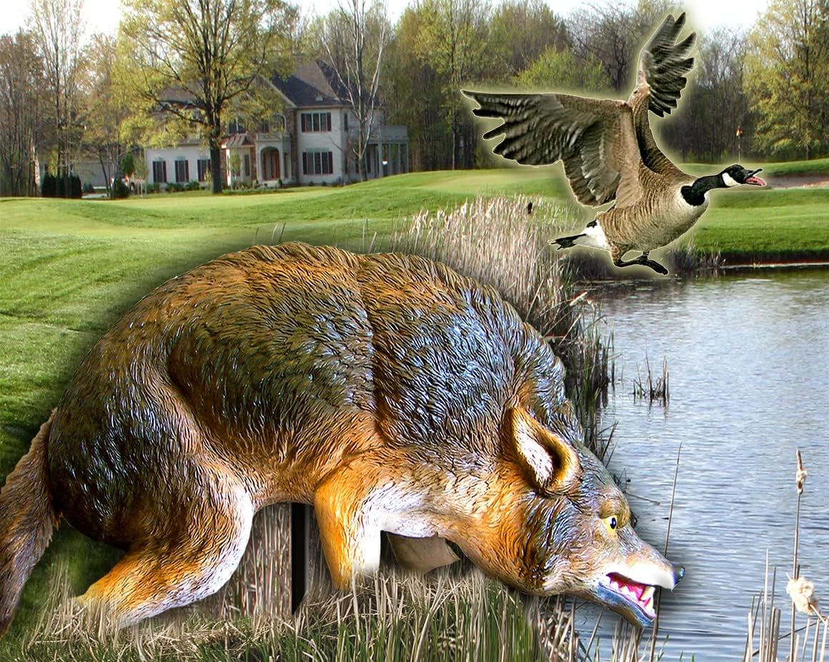 Bird-X 3D Coyote Decoy, Lifelike Predator Replica, Coyote Decoy with Moving Tail and Realistic Markings, Easy to Install, Covers up to 1 Acre of Land