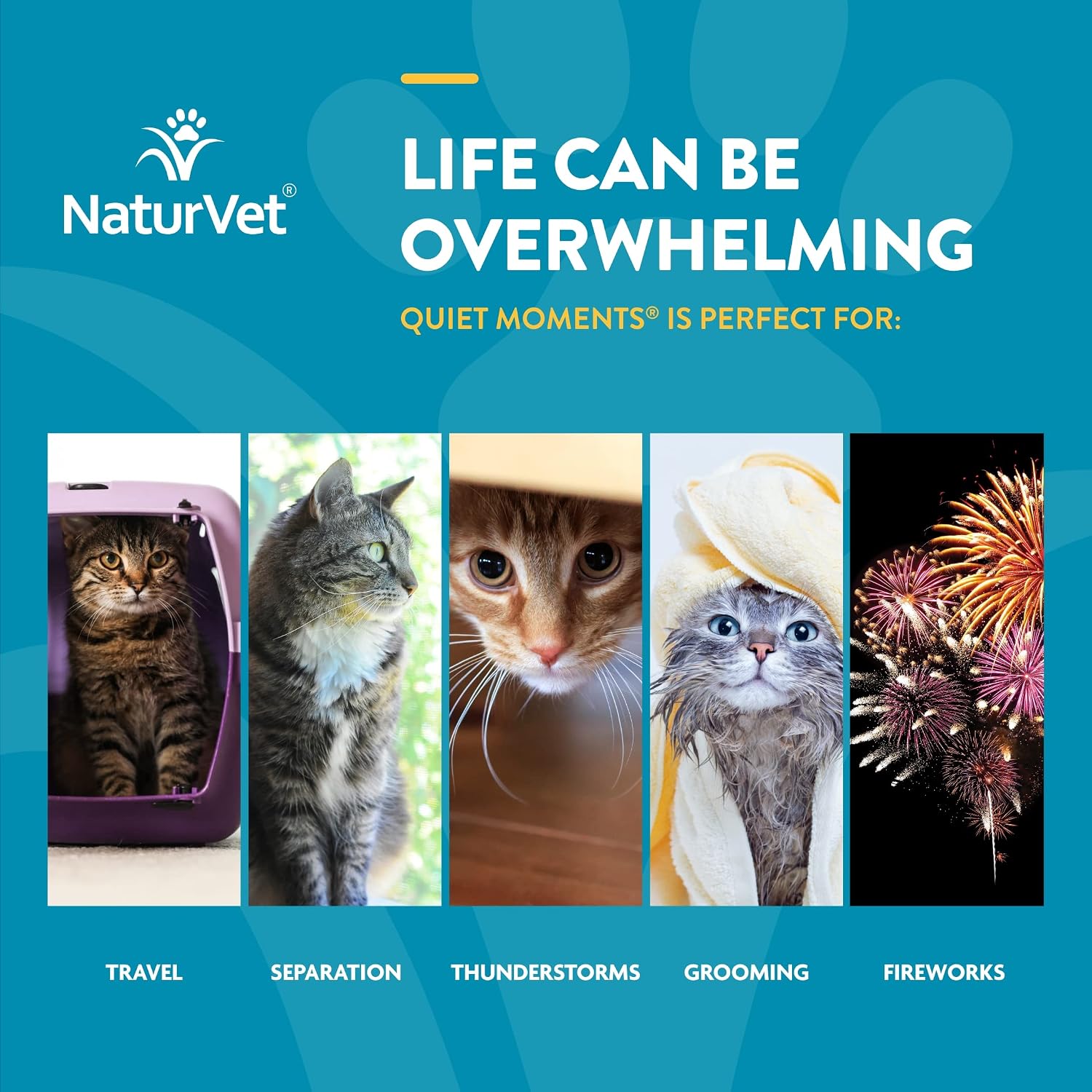 NaturVet Quiet Moments Calming Plus Melatonin Cat Supplement - 50 Count | Calming Aid for Cats - Reduce Stress, Pet Storm Anxiety, Motion Sickness - Great for Grooming, Separation and Travel