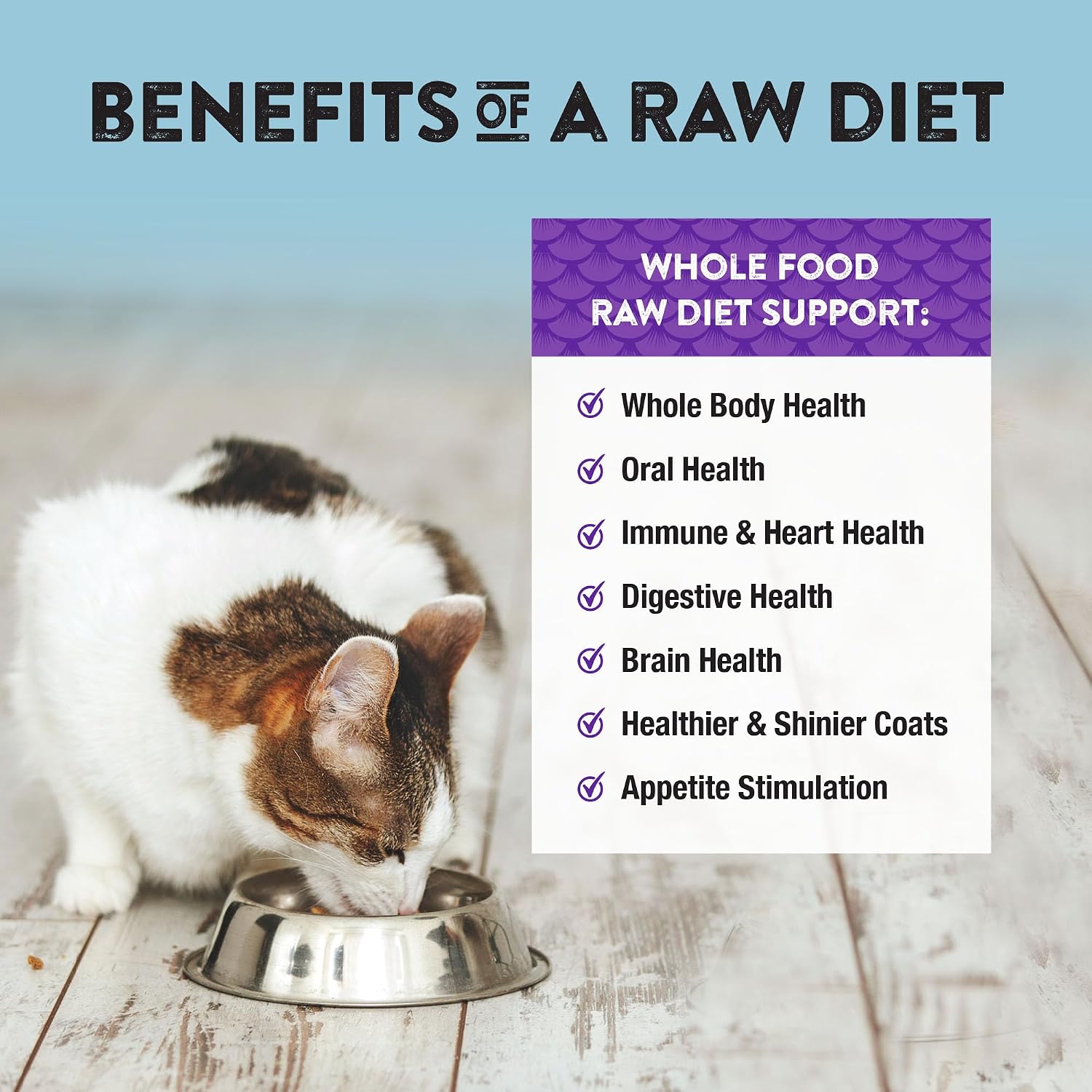 Northwest Naturals Freeze-Dried Turkey Cat & Kitten Food – Bite-Sized Nibbles – Healthy, Limited, Human-Grade Ingredients, All-Natural, High-Protein Raw Diet – Complete & Balanced, Made in USA, 11 oz