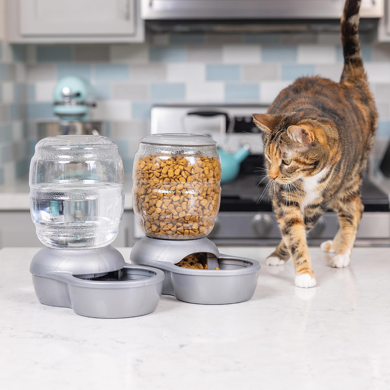 Petmate Replendish Feeder Automatic Cat and Dog Feeder, Pearl Peacock Blue, 10 LB, Made in USA