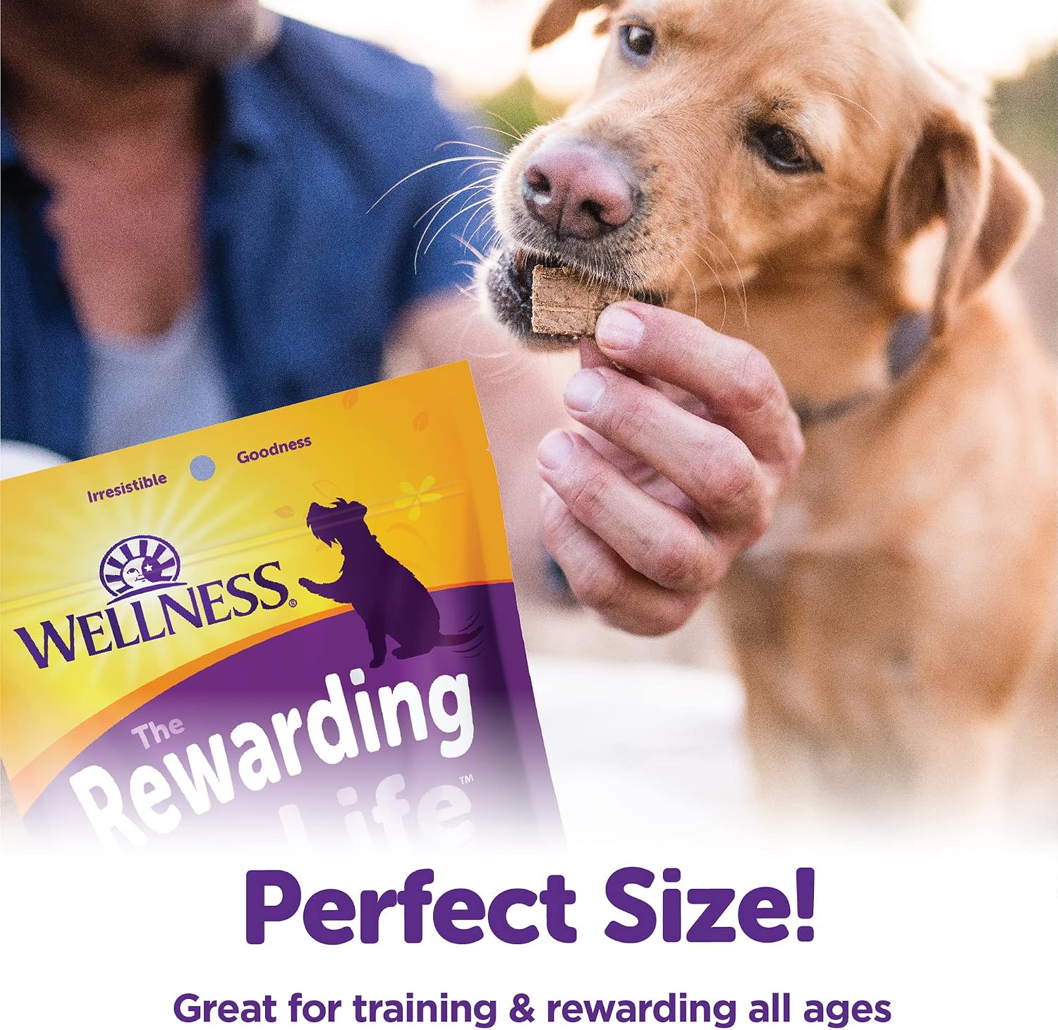 Wellness Rewarding Life Soft Dog Training Treats, Natural, Grain Free, Lamb and Salmon Recipe, 6 oz Bag