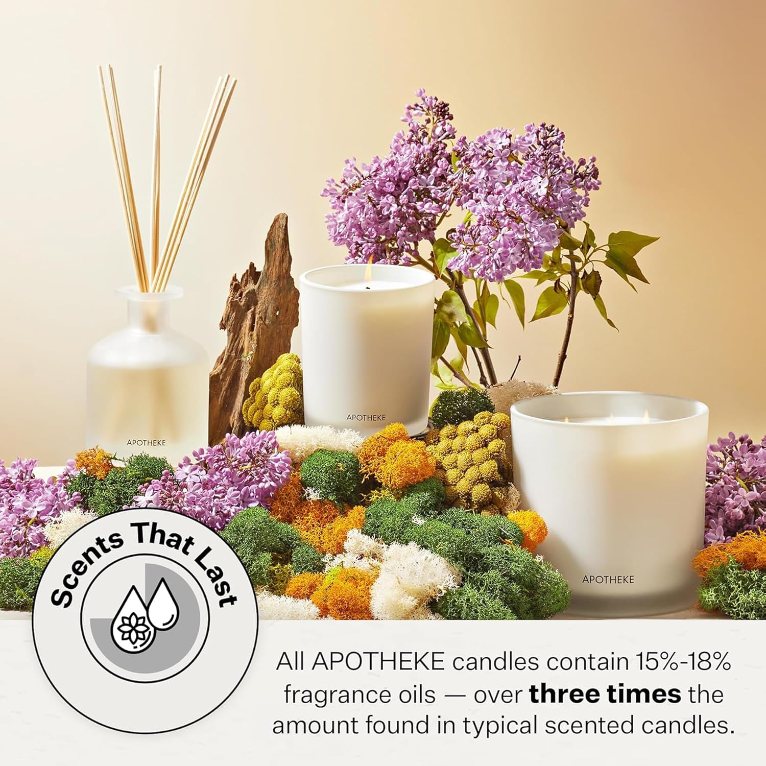 Apotheke Signature Scented Candles for Home, Canvas - 10.5 Oz | Long-Lasting Non-Toxic Soy Wax Jar Candle with Essential Oils, Large - Luxury Gift for Women & Men