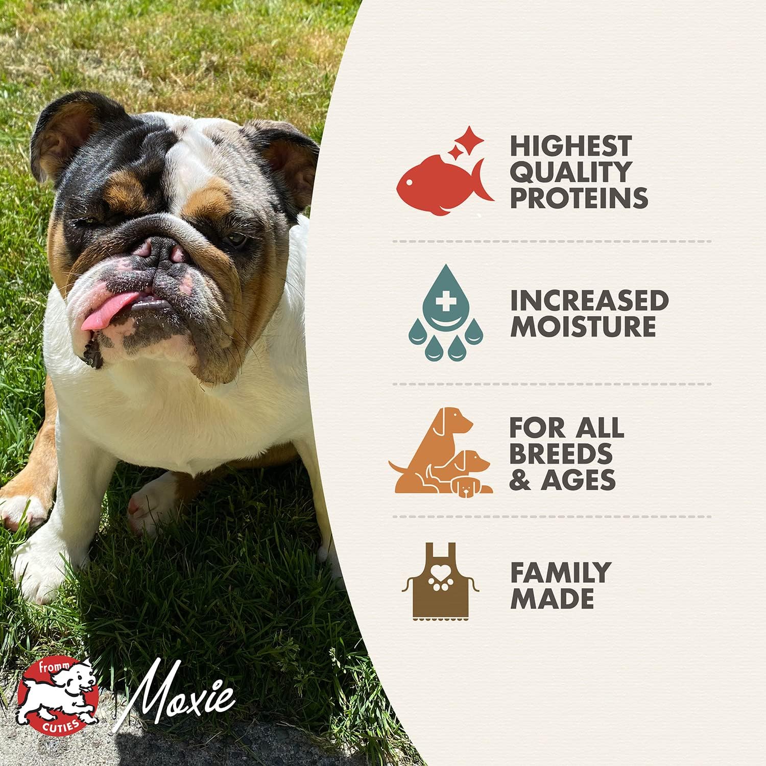 Fromm Venison & Lentil Pate Dog Food - Premium Wet Dog Food - Venison Recipe - Case of 12 Cans