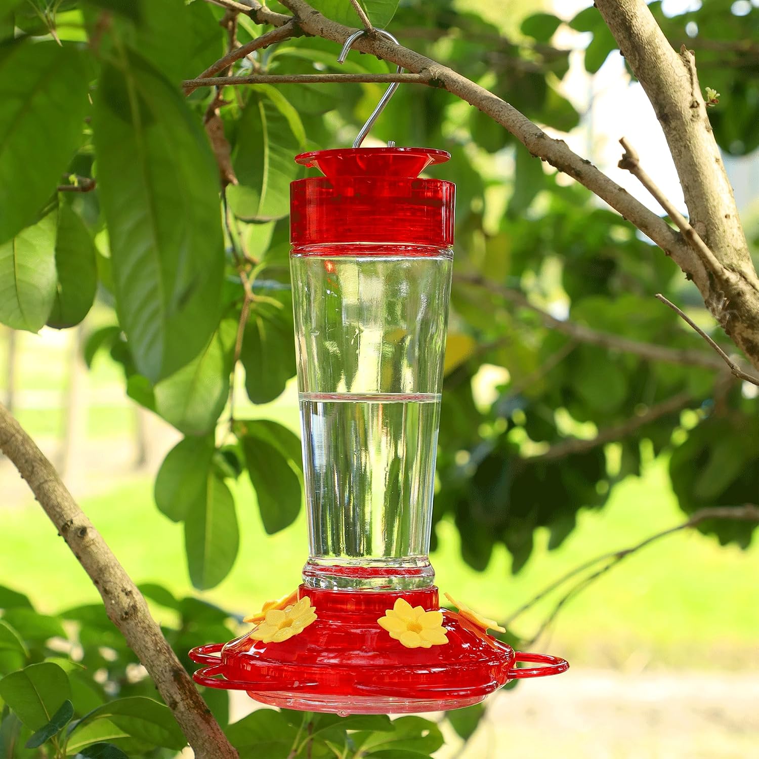 Shrdaepe Hummingbird Feeder, Glass Bottle Bird Feeders, 5 Feeding Ports, 10-Ounce Nectar Capacity