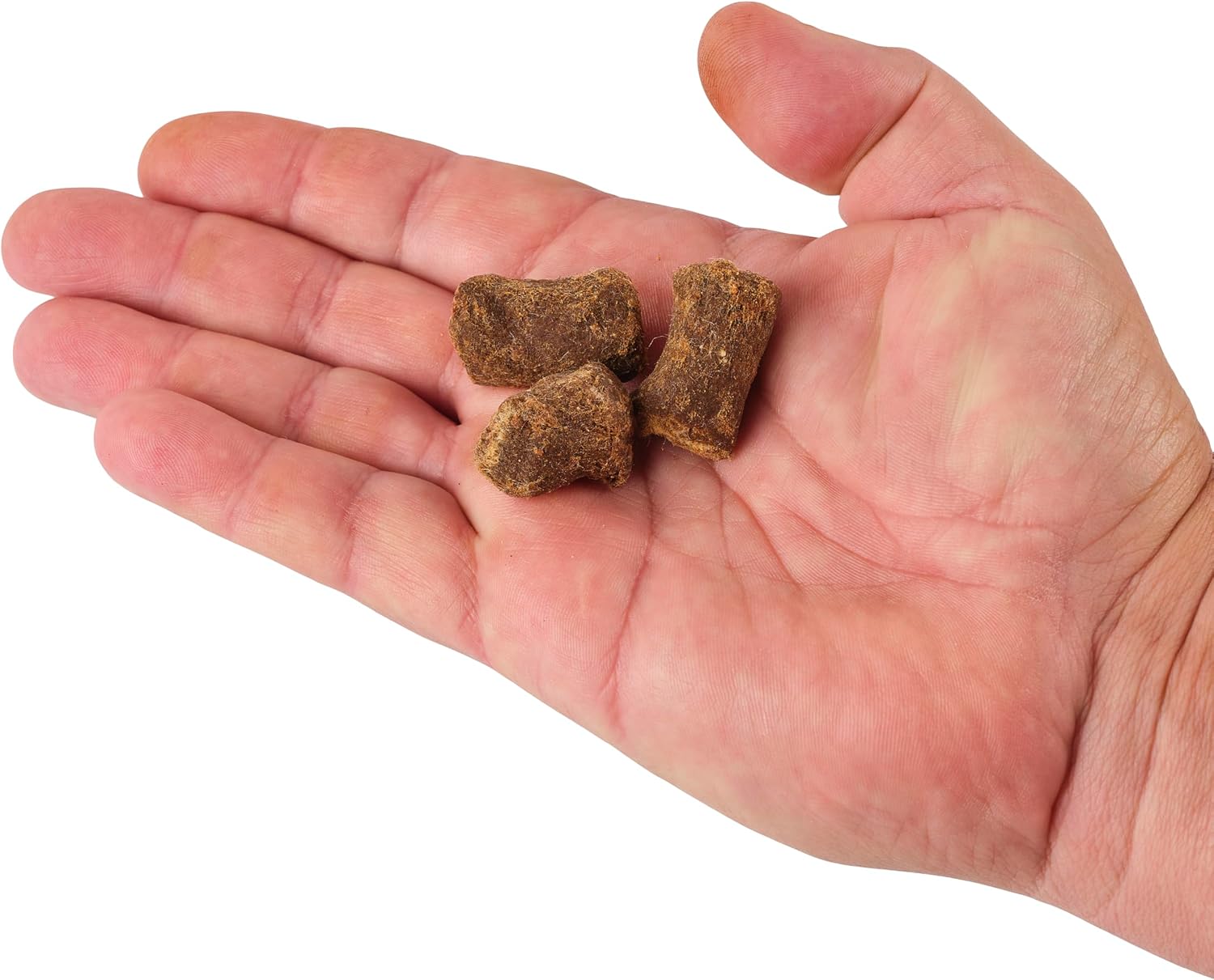 Berkley PowerBait Catfish Bait Chunks Fishing Dough Bait