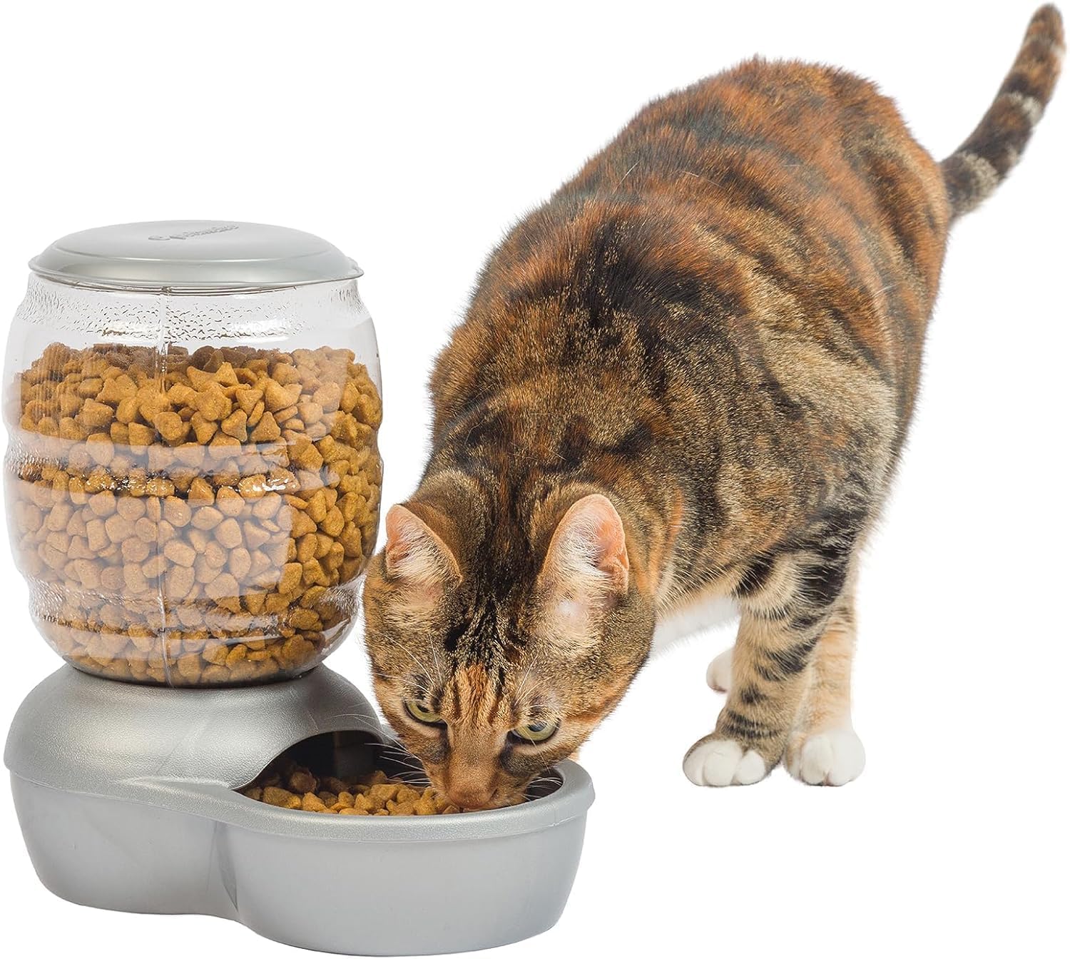 Petmate Replendish Feeder Automatic Cat and Dog Feeder, Pearl Peacock Blue, 10 LB, Made in USA