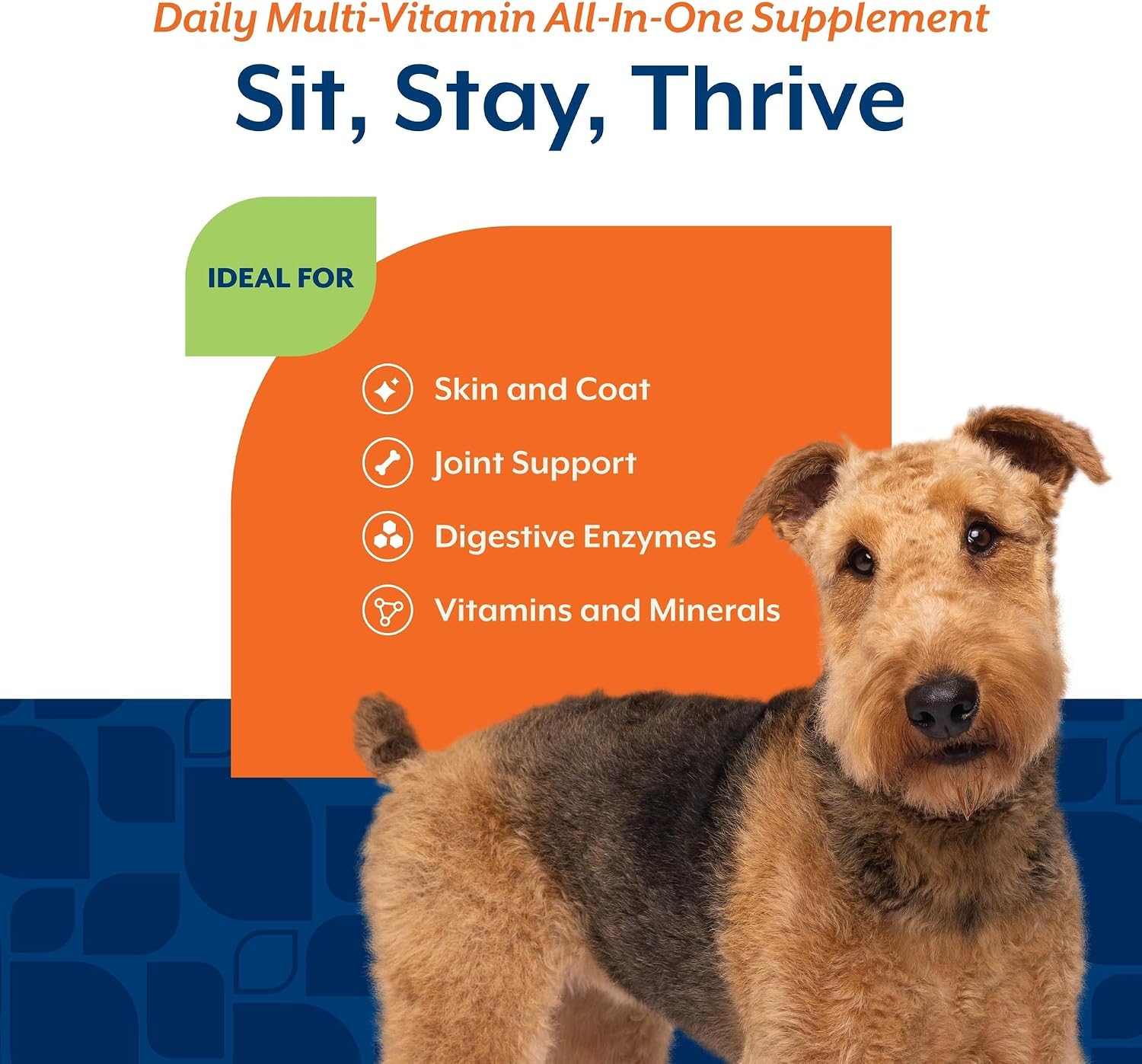 NaturVet All-in-One Cat & Dog Supplement Daily Multivitamin - 13 Oz Powder | Daily Multivitamin for Dogs & Cats - Supports Digestion, Skin & Coat with Omega-3, 6, 9 in a Wheat-Free Formula, 13 Oz Powder