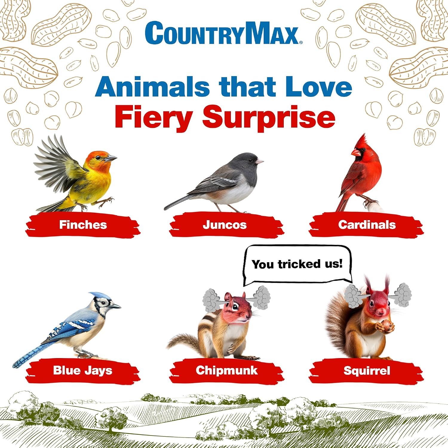 CountryMax Backyard Seeds Fiery Surprise Spicy Bird Seed Blend – Hot Cayenne Pepper Bird Seed – Squirrel Resistant Wild Bird Food (14 Pounds)