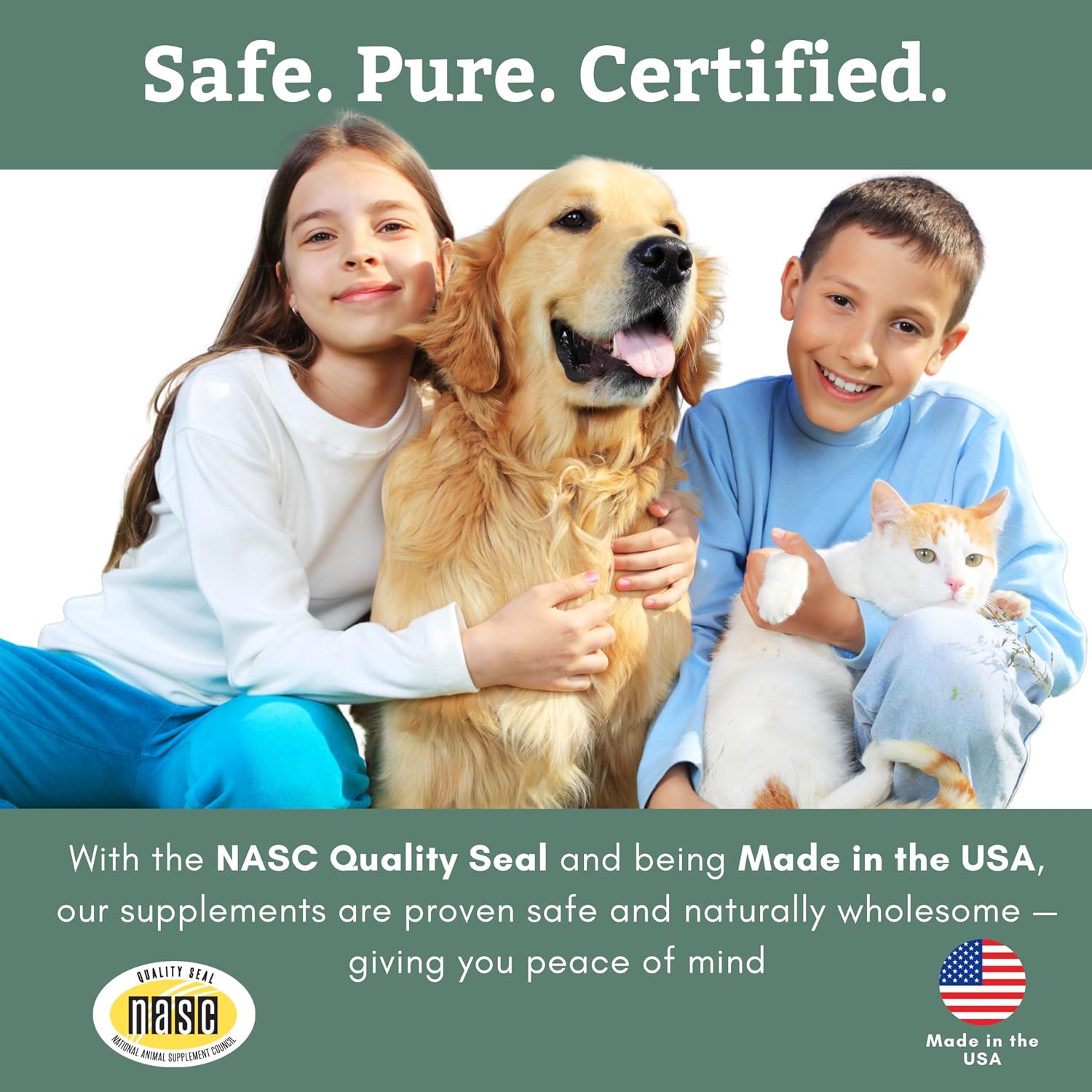 Organic Dog Vitamins | 1 Lb | 45 Scoops | Daily Dog Multivitamin with Prebiotics, Probiotics for Immune Support, Skin Coat, Digestion, & Joint Health | Canine Complete