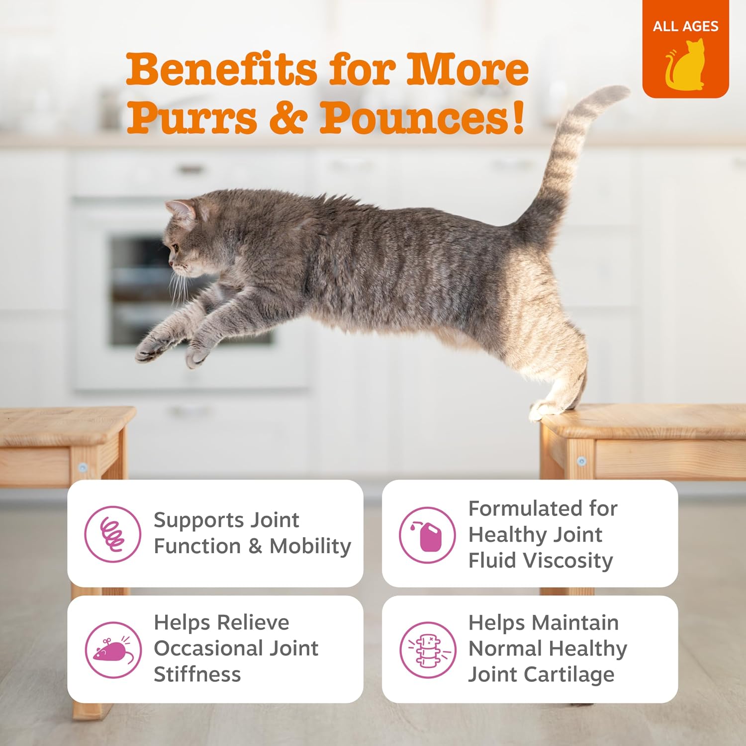 Zesty Paws Hip and Joint Supplement for Dogs - Glucosamine with Chondroitin, MSM, Vitamins C and E Dog Joint Relief - Mobility Bites Duck – 90 Count