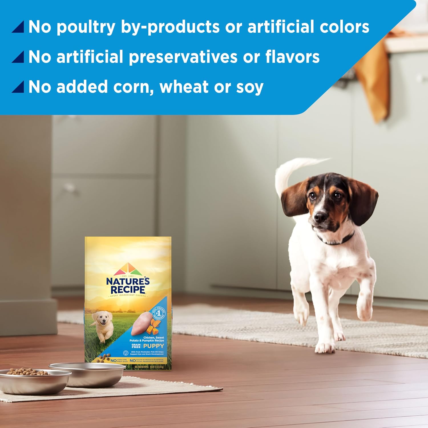 Nature's Recipe Grain Free Puppy Dry Dog Food, 4 lb. Bag
