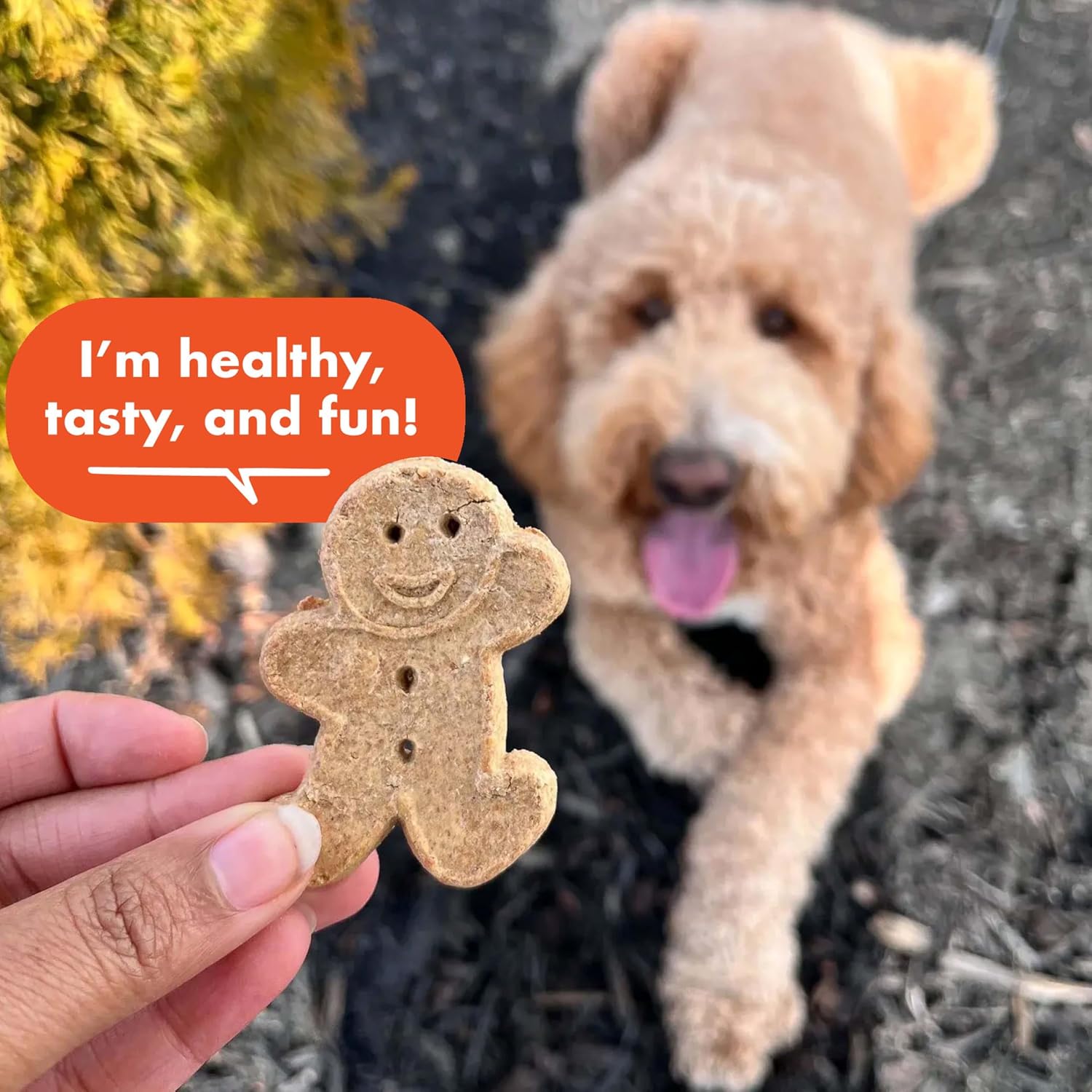 Buddy Biscuits Grain Free Dog Treats, Baked in USA, Large Size Treat with Natural Peanut Butter 14 oz.
