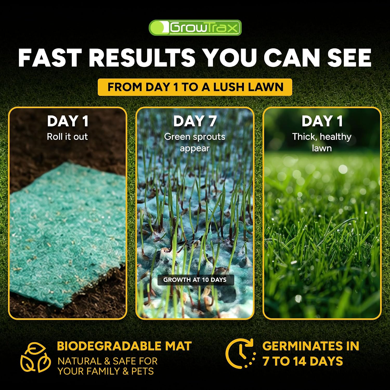 Growtrax Biodegradable Grass Seed Mat & Fertilizer - 100 Sq Ft Bermuda Rye | Grass Seed for Lawns, Dog Patches & Shade, Just Water and Grow