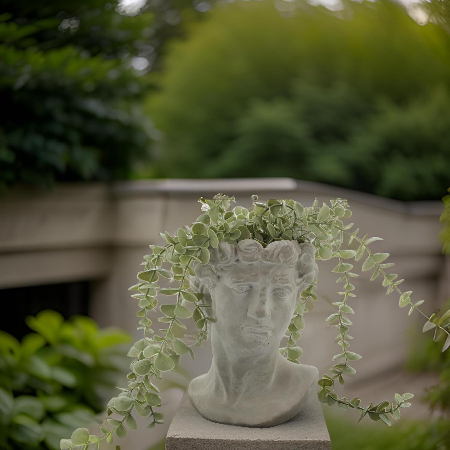 Greek Statue Head Cement Man Head David Planter (9")