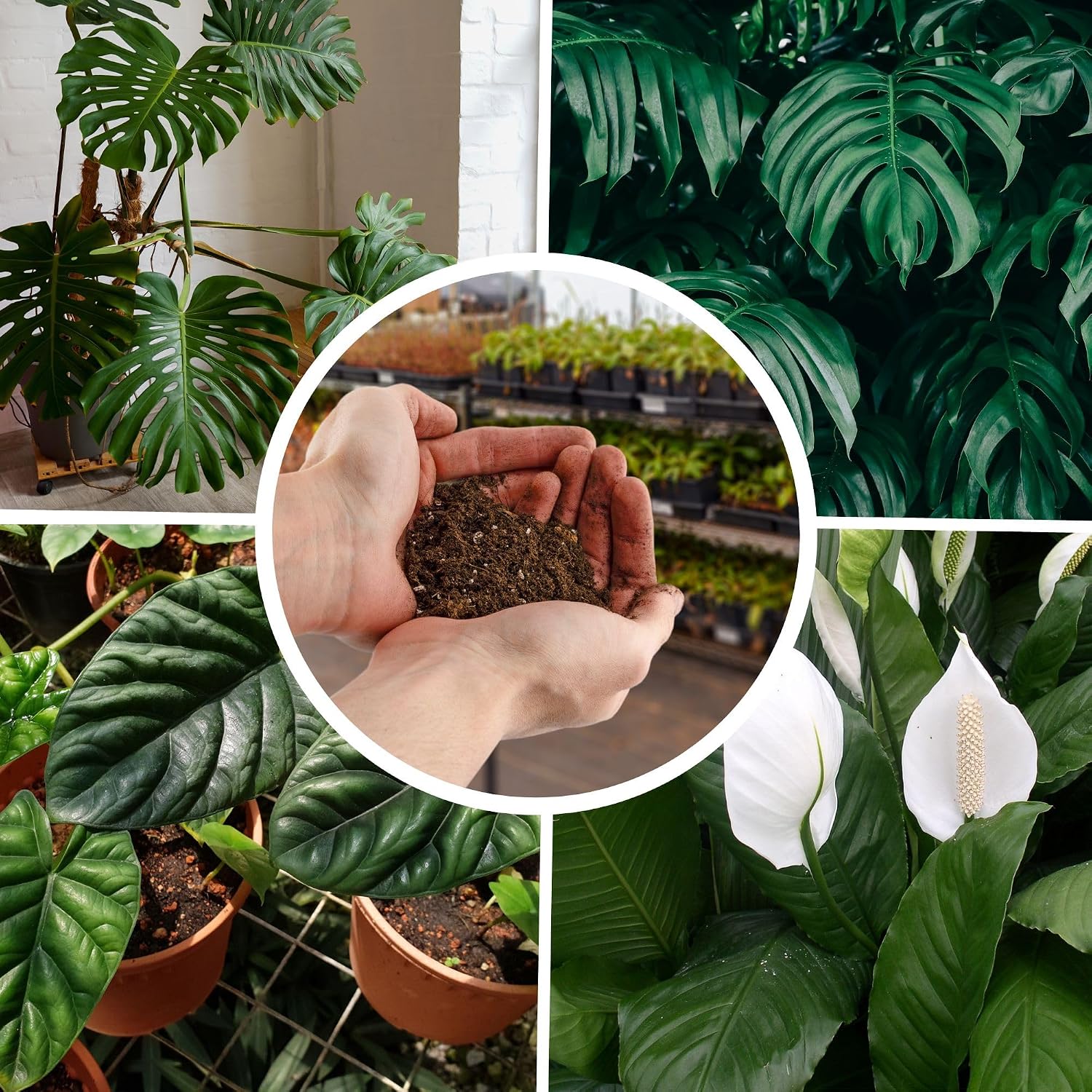 Planting Mix for Plant Propagation (4 Quarts), Hand Blended Soilless Mix for Propagating Plants, House Plants, and More