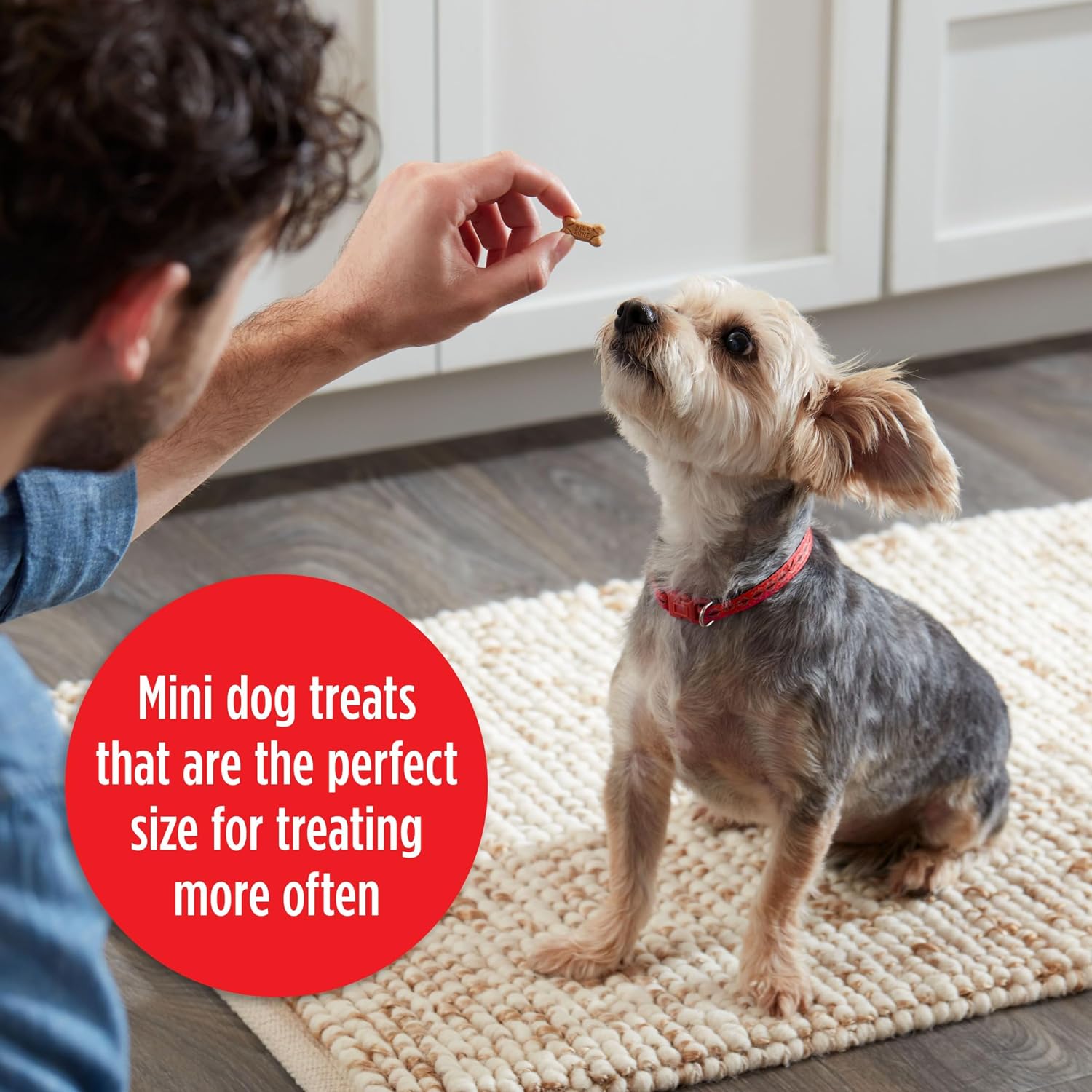 Milk-Bone Soft & Chewy Dog Training Treats, 25 oz Canister | Made with real chicken breast, soft dog treats for training and rewarding, 18% protein, fortified with vitamins and minerals