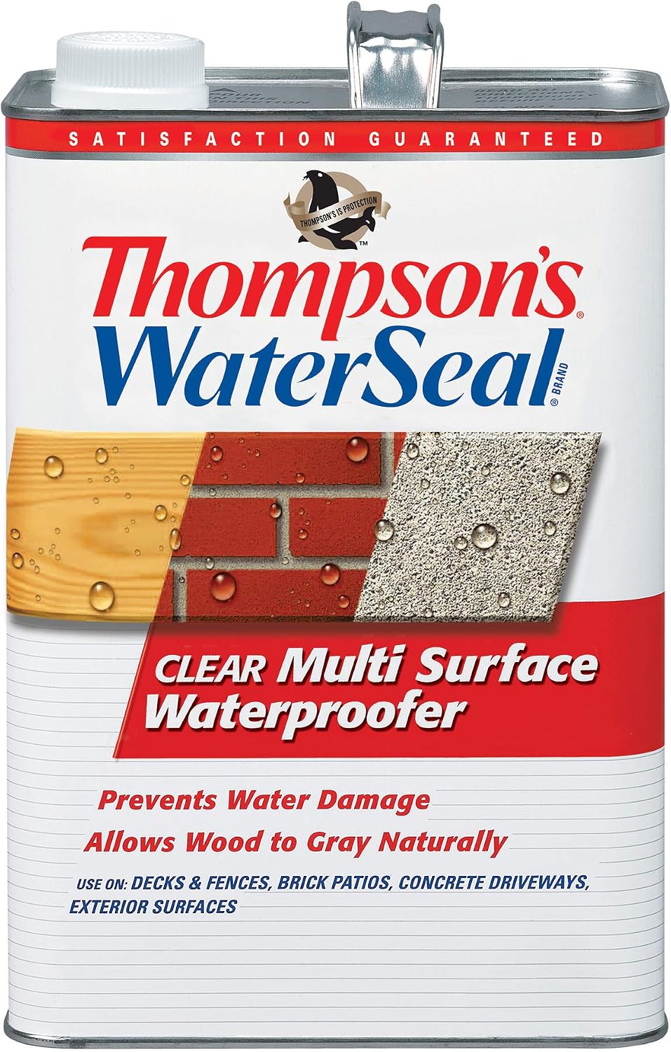Thompson’s WaterSeal Multi-Surface Waterproofer Stain, Clear, 1 Gallon