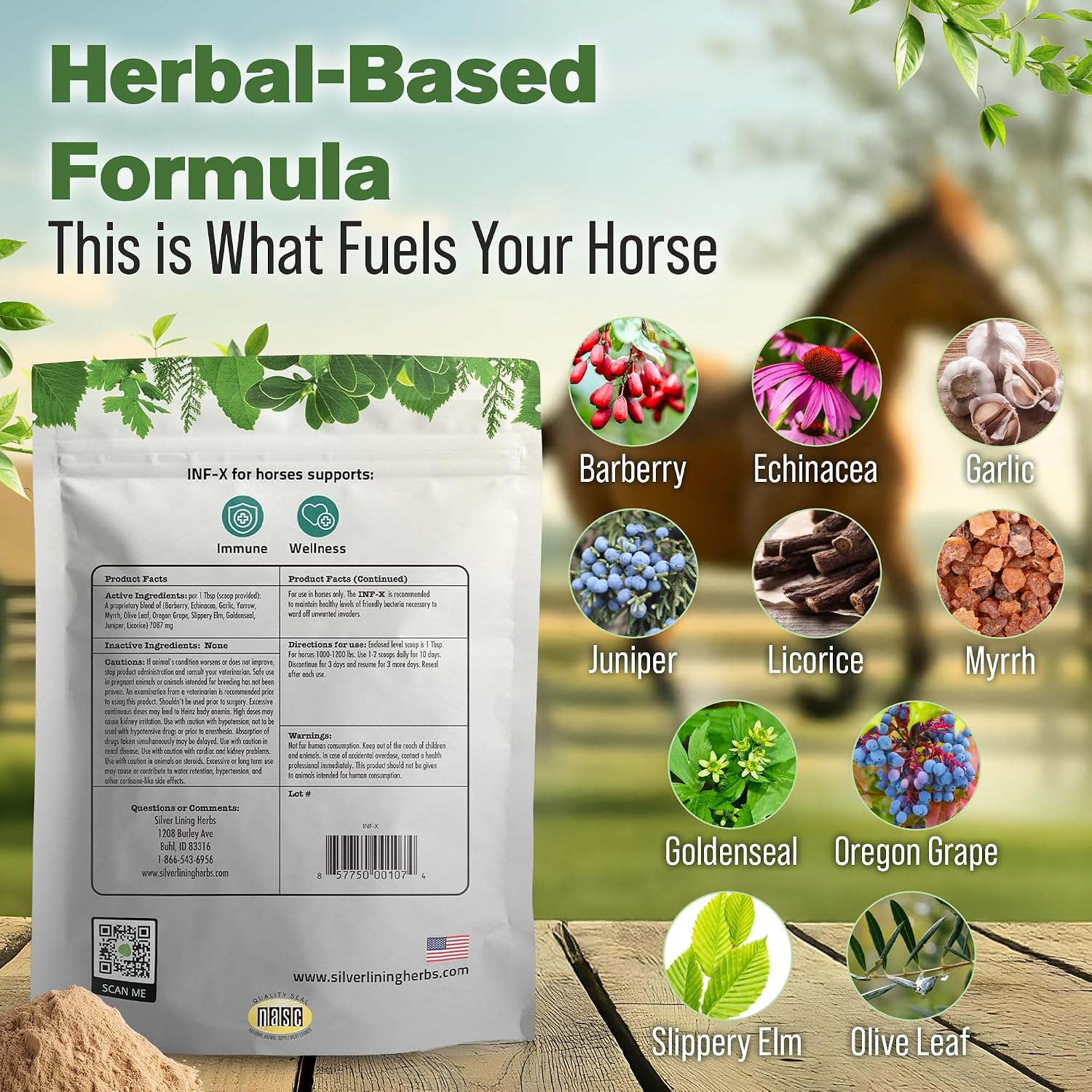 INF-X Horse Immune Booster Supplement - 1 lb | Horse Immune Booster, Garlic, Goldenseal, Myrrh & Olive Leaf, Cellular & Natural Defense Support, 1 lb