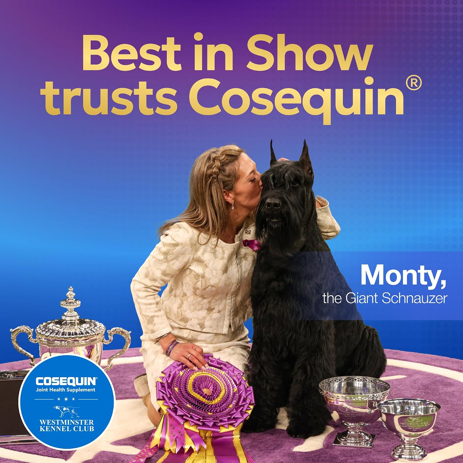 Nutramax Cosequin Joint Supplement for Dogs, Chewable Tablets, 132ct | Glucosamine + Chondroitin for Dogs with MSM, Supports Healthy Joints, All Breeds & Sizes, All Ages