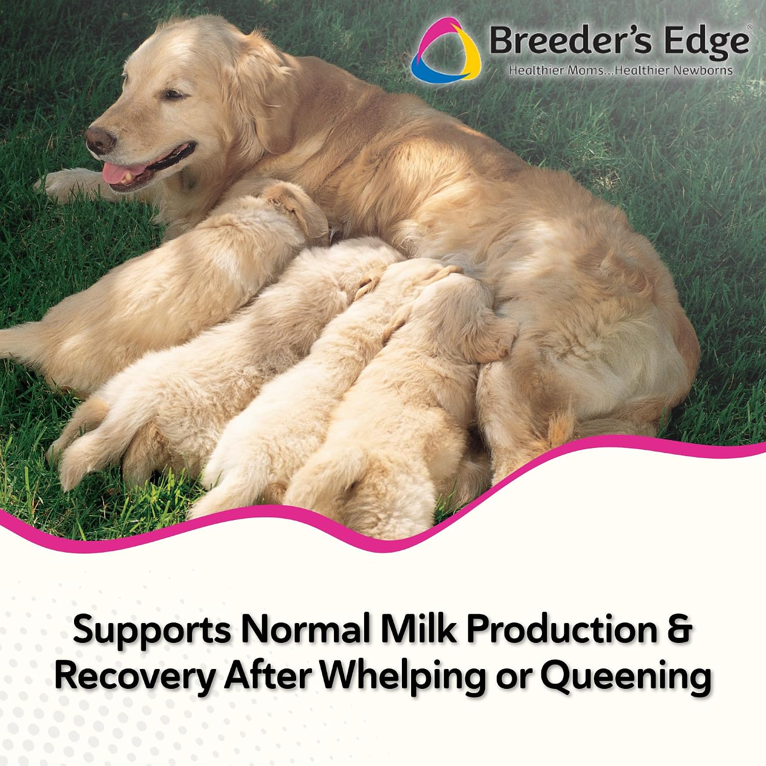 Breeder's Edge Oxy Momma Soft Chews, Postnatal Vitamin Supplement for Lactating Dogs and Cats, Supports Recovery, Hormones, and Next Pregnancy - for Medium & Large Dogs, 40ct Soft Chews