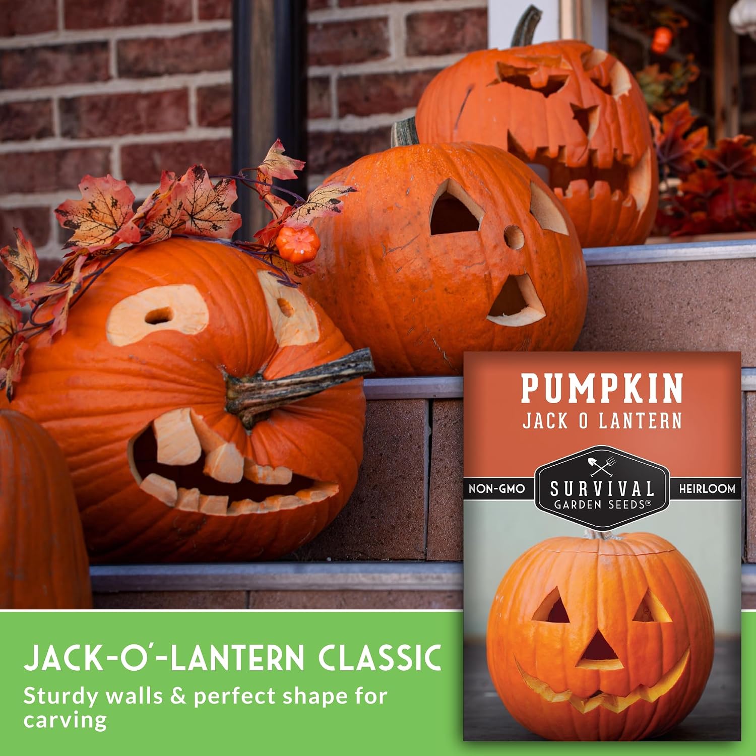 Jack O' Lantern Pumpkin Seeds for Planting - 1 Pack