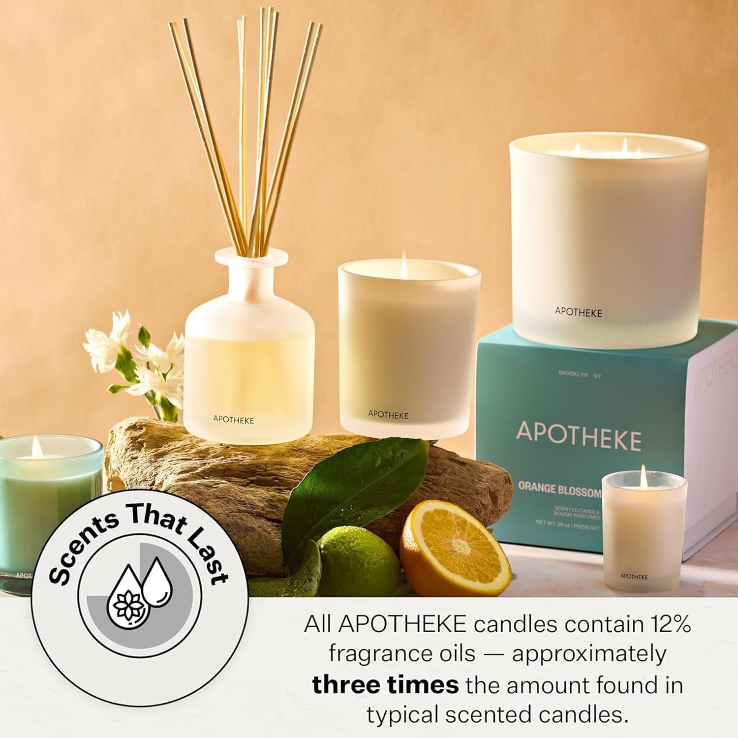 Apotheke Signature Scented Candles for Home, Canvas - 10.5 Oz | Long-Lasting Non-Toxic Soy Wax Jar Candle with Essential Oils, Large - Luxury Gift for Women & Men