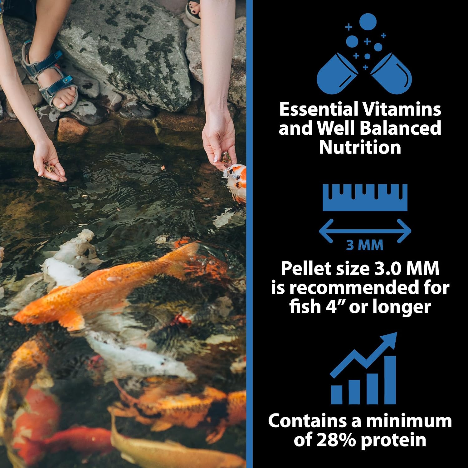 CrystalClear WheatGerm Fish Food for Freshwater Ponds, 2.2 Pound Bucket | Floating pellets with protein-rich food, ideal for cooler spring & fall seasons, supports pond fish in cold water