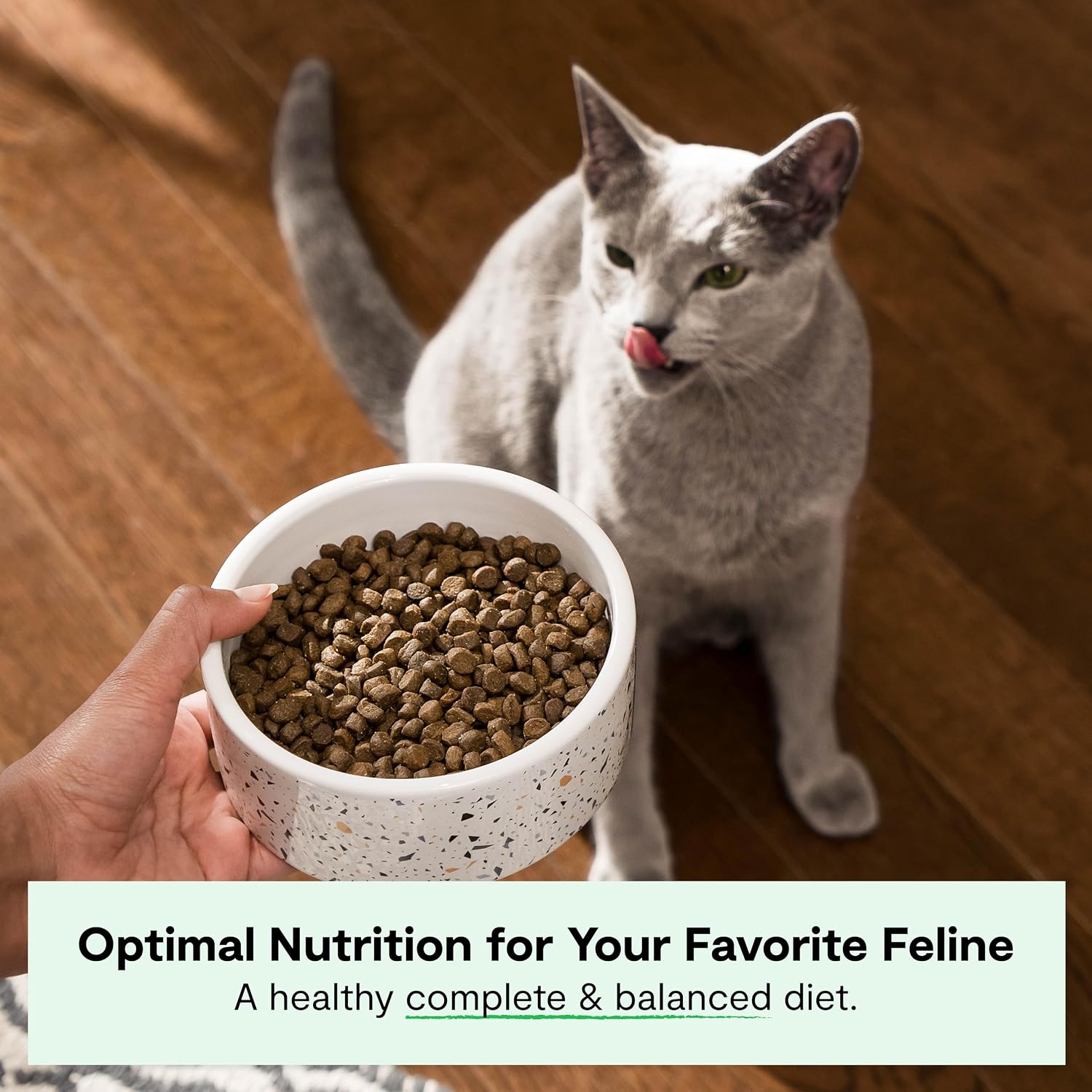Open Farm, Grain Free Dry Cat Food, High-Protein Kibble for a Complete & Balanced Diet, Non-GMO Fruits & Vegetables, Prebiotic Fibers to Support Digestion, Catch-of-The Season Whitefish, 4lb Bag | All Life Stages, High Protein, Prebiotic Fibers, 100% Tra…