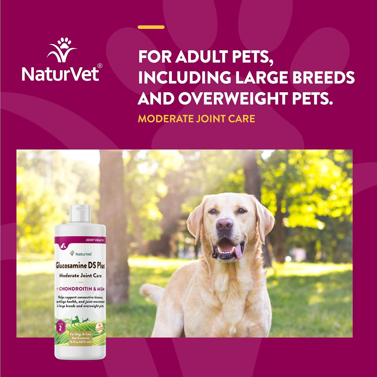 NaturVet – Glucosamine DS Plus - Level 2 Moderate Care – Supports Healthy Hip & Joint Function – Enhanced with Glucosamine, MSM & Chondroitin – for Dogs & Cats–70 Soft Chews