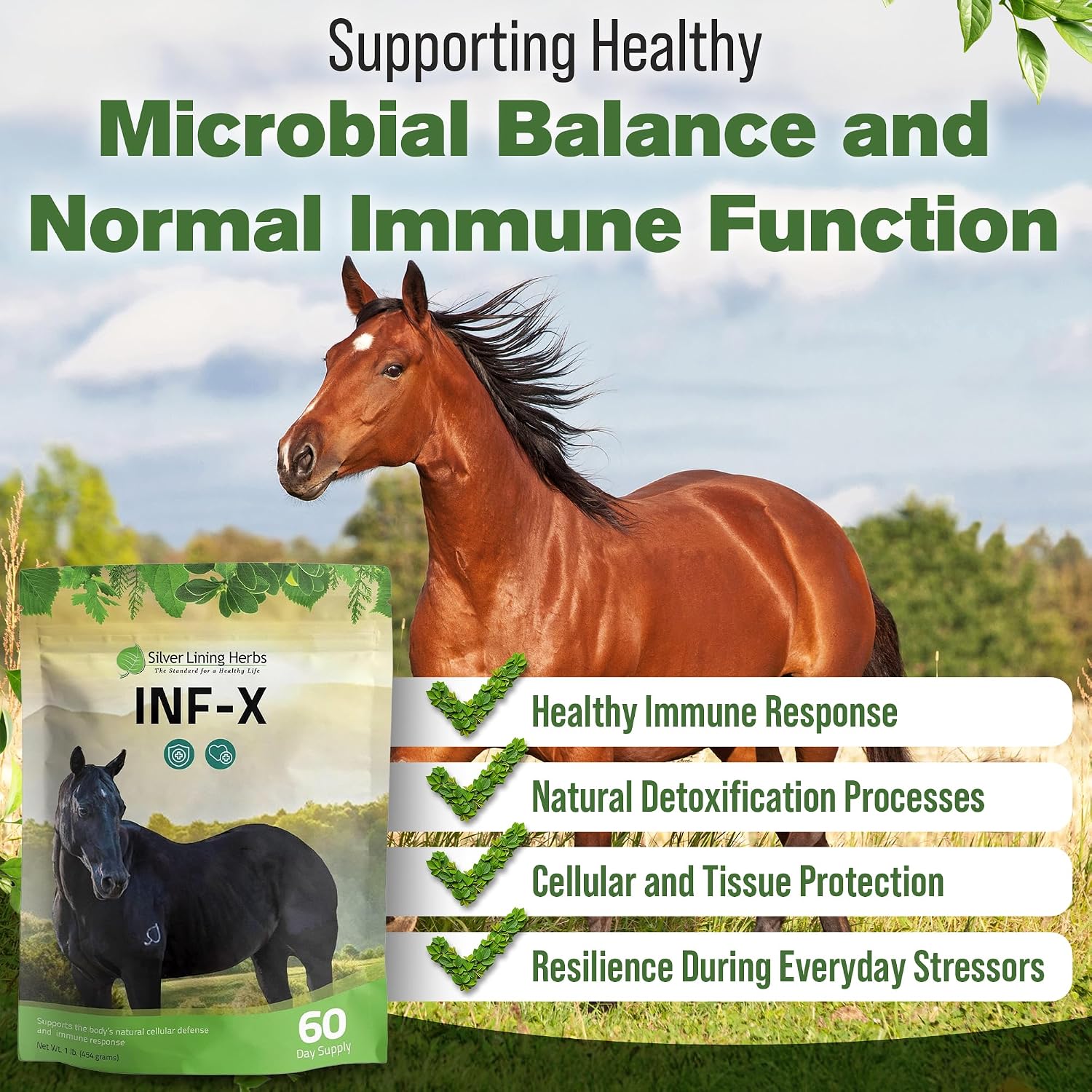 INF-X Horse Immune Booster Supplement - 1 lb | Horse Immune Booster, Garlic, Goldenseal, Myrrh & Olive Leaf, Cellular & Natural Defense Support, 1 lb