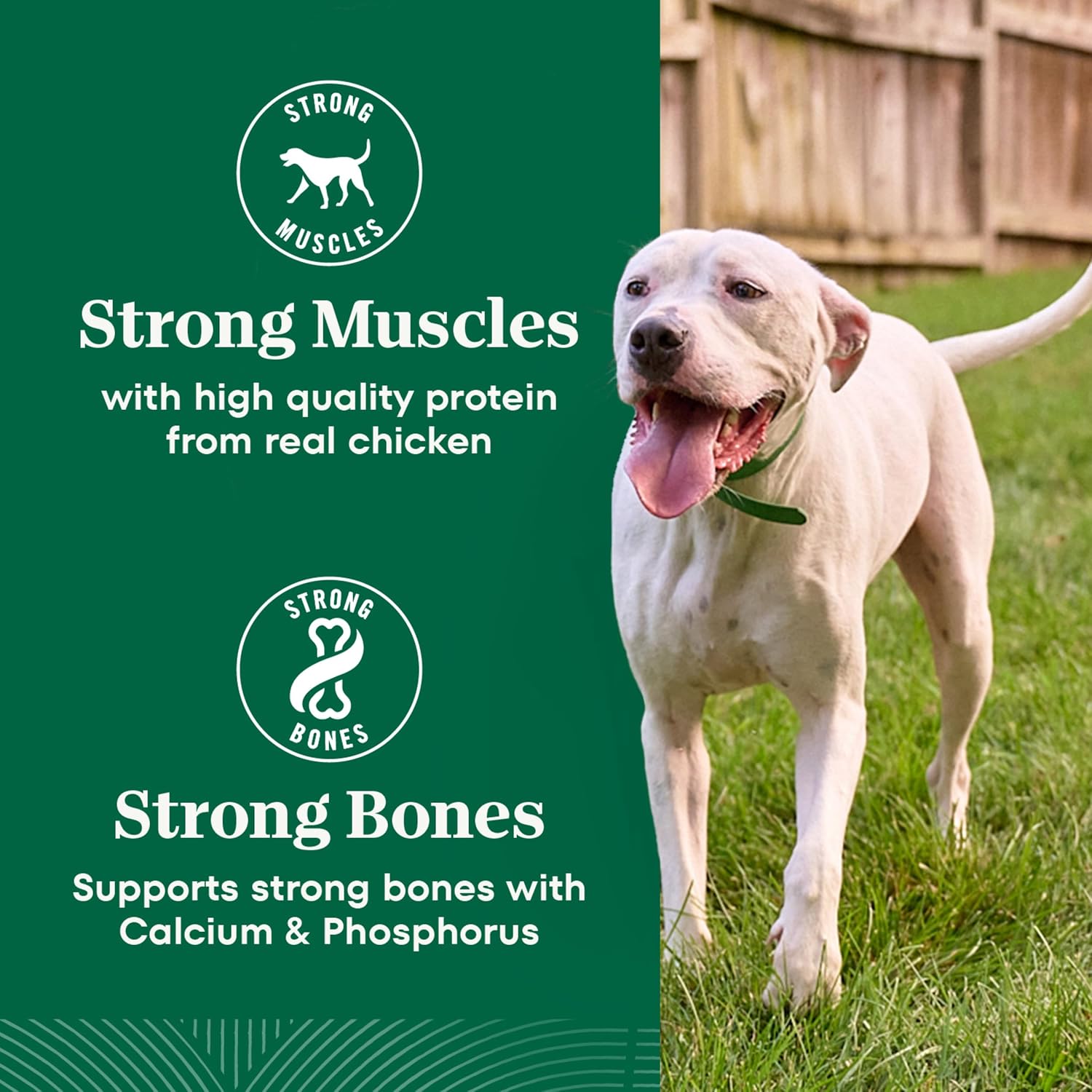 Nutro Natural Choice Large Breed Adult Dry Dog Food, Lamb & Rice, 30 lb | Real lamb #1 ingredient, non-GMO, no corn, wheat, soy, crafted in USA, supports joints, digestion, immunity, skin & coat