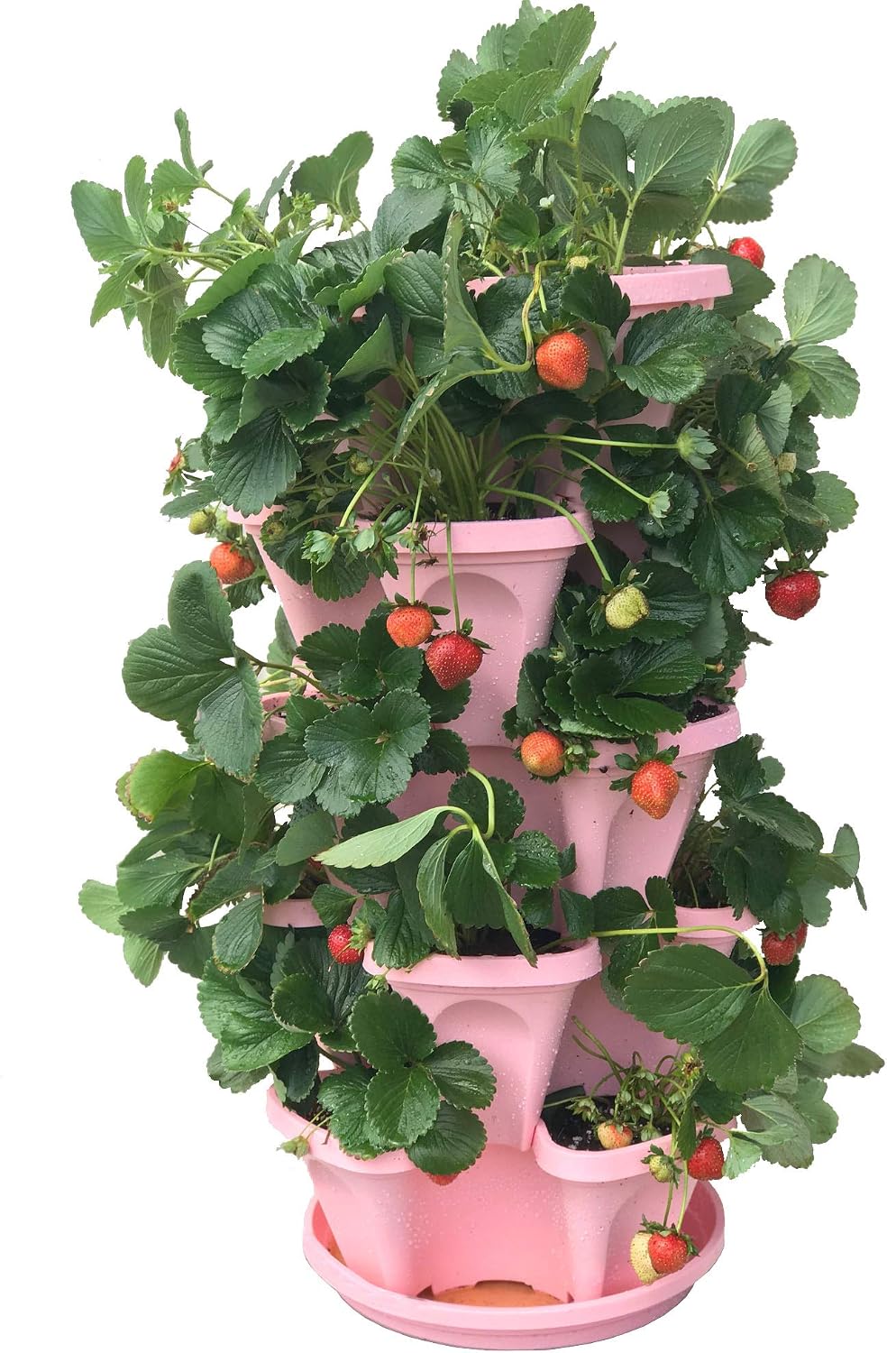 Mr. Stacky 5-Tier Pink Strawberry and Herb Garden Planter - Stackable Gardening Pots with 10 Inch Saucer