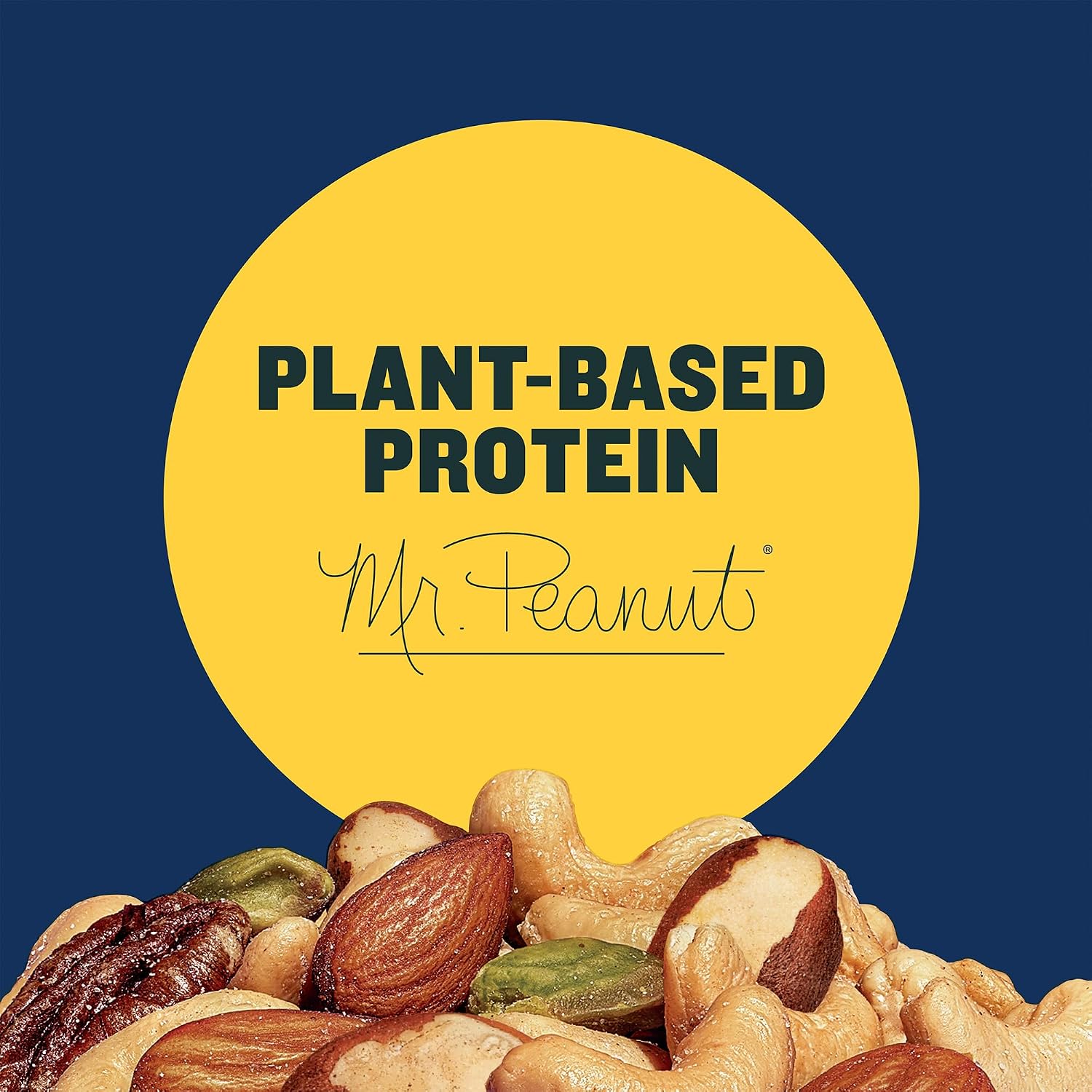 PLANTERS Salted Peanuts, Party Snacks, 16 Oz (1 Ct) | Dry Roasted Salted Peanuts. 0g Trans Fat. Resealable Jar. Snacks for Adults. Party Mix, Flavored Nuts