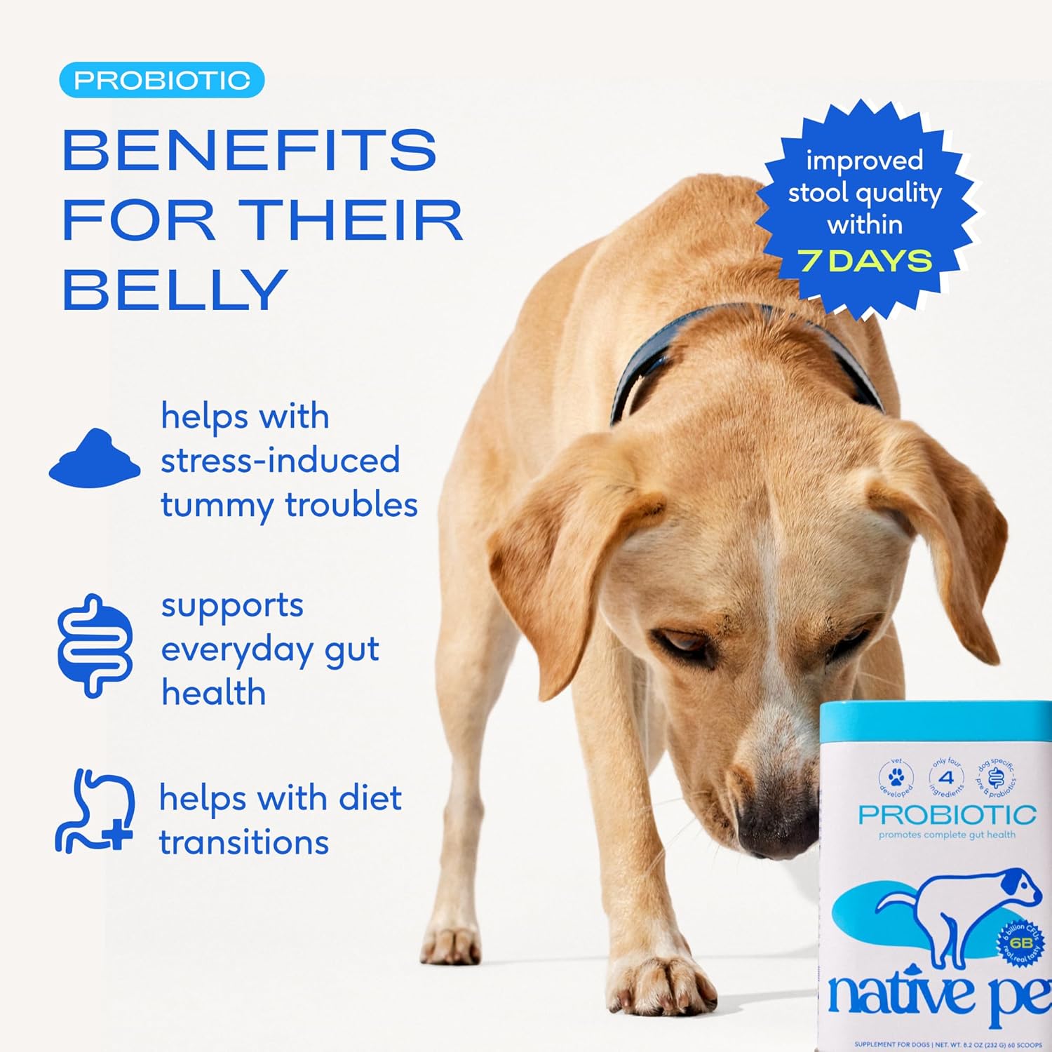 Native Pet Probiotics for Dogs – Dog Probiotic Powder for Gut & Digestive Health, Vet-Formulated 6B CFUs Dog-Specific Probiotic Strains