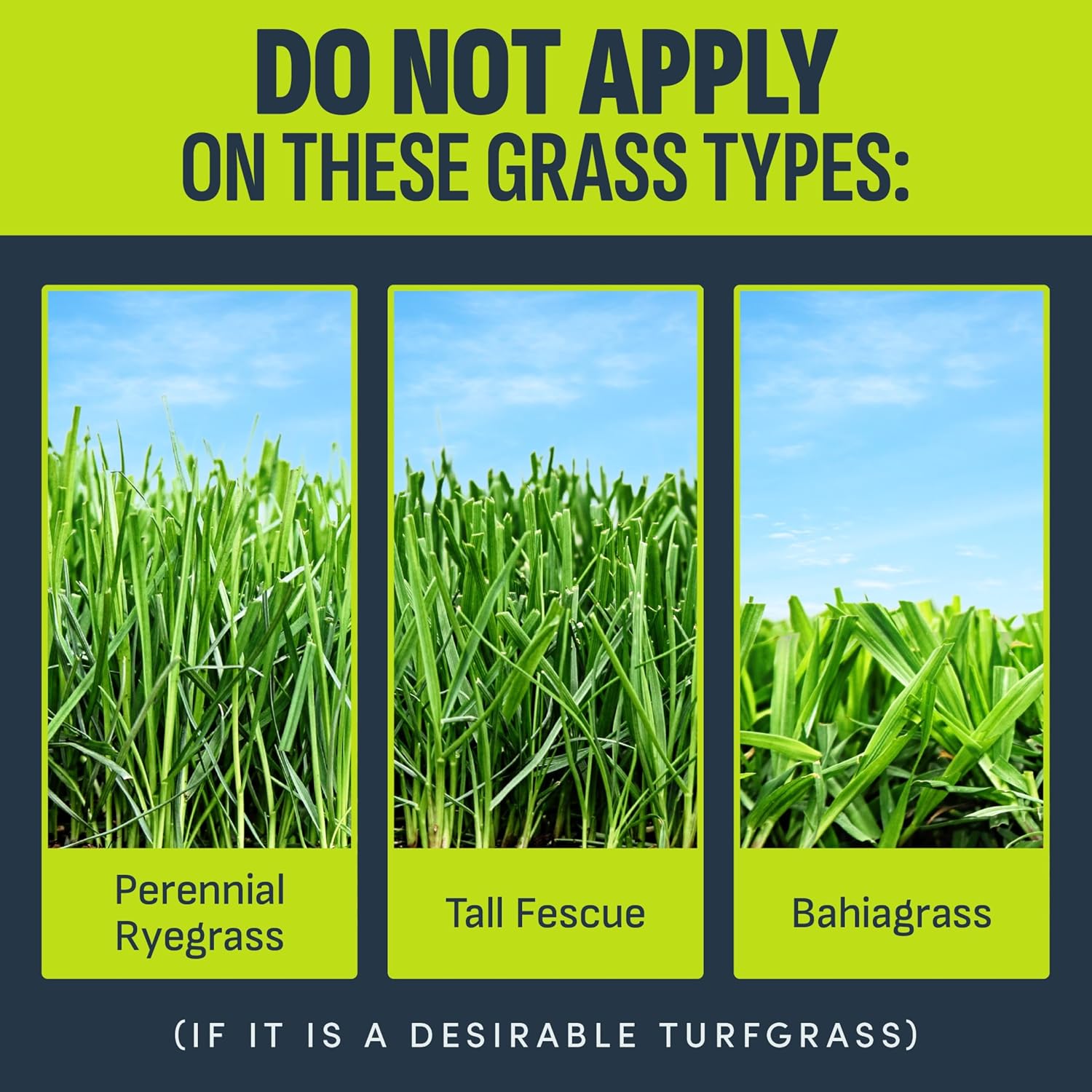 Image Herbicide Nutsedge Killer for Southern Lawns, 32 fl oz | Weed killer spray for Bermudagrass, Zoysiagrass, St. Augustinegrass
