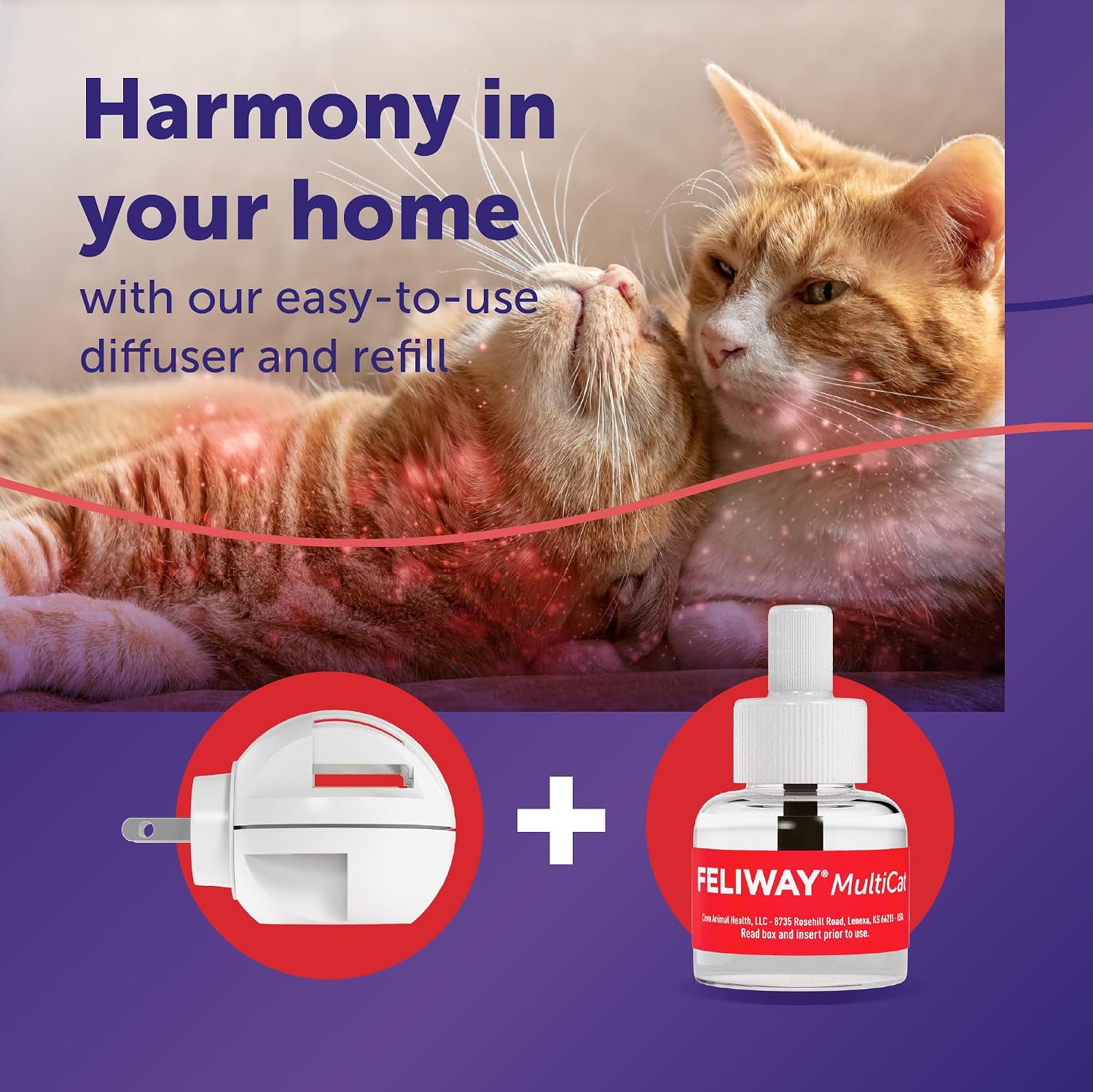 FELIWAY MultiCat Cat Calming Pheromone Diffuser Kit | Helps Reduce Fighting, Tension and Aggression Between Cats due to Stress for Multi‑Cat Homes, 30 Day Supply