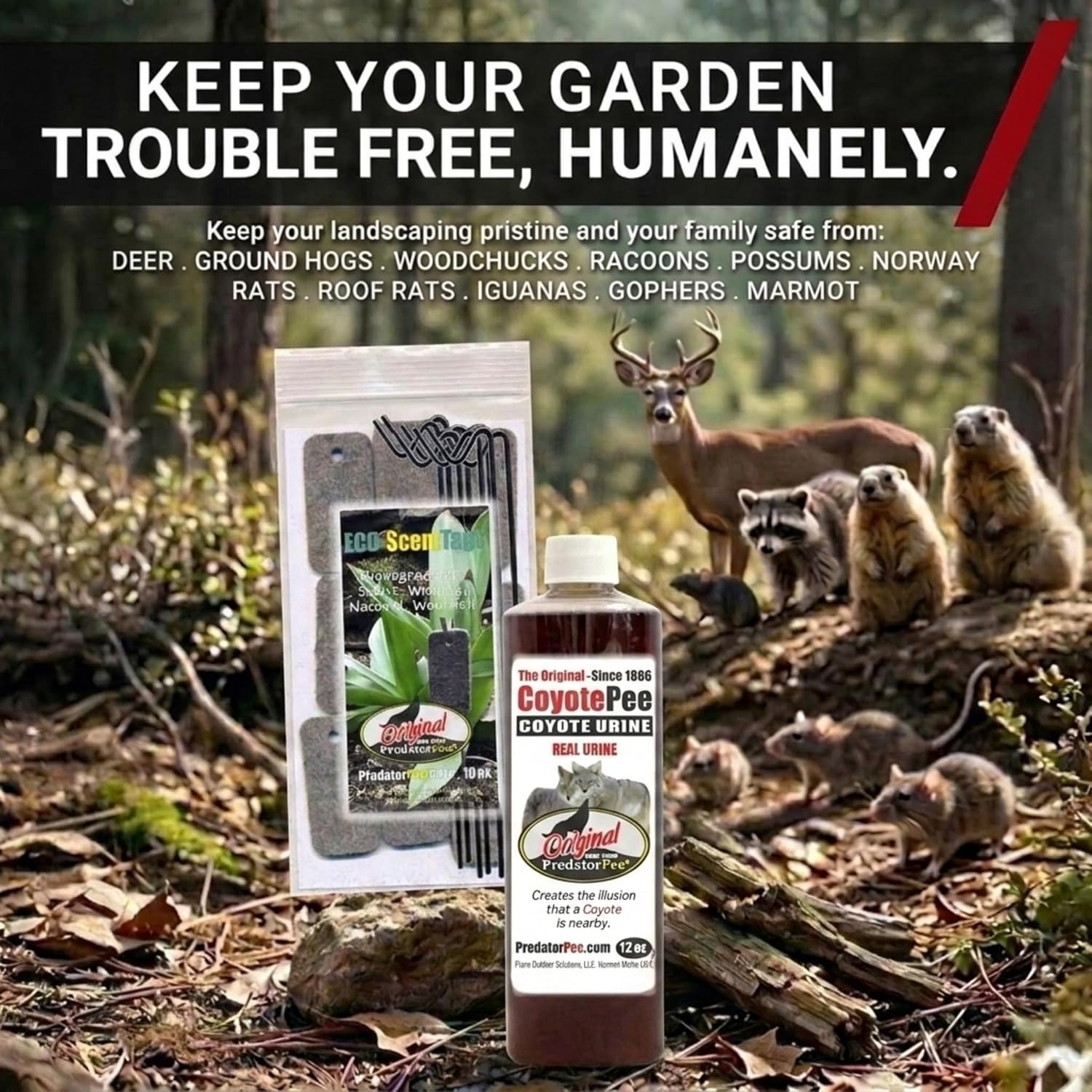 PredatorPee 100% Coyote Urine Natural Predator Scent Made in USA