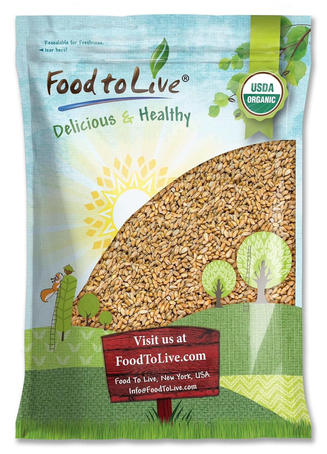 Food to Live Organic Hulled Barley, 15 Pounds – Non-GMO, 100% Whole Grain, Kosher, Vegan, Bulk. Suited for Home Brewing, Grinding. High in Fiber. Great for Chili, Hot Cereal, Salads, Soup.