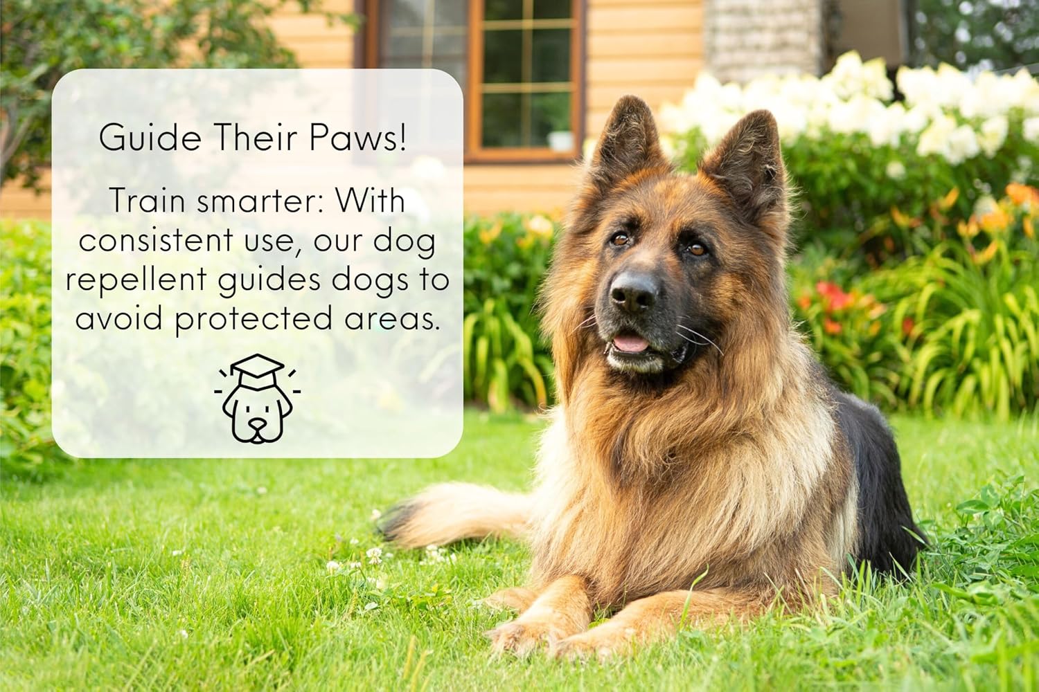 Nature's MACE Dog Mace Dog Repellent 1 Gallon Concentrate | Potty Training Tool Spray, Indoor & Outdoor, Pee Deterrent, Safe Around Kids, Pets, Garden & Plants, Treats 48,000 Sq. Ft.