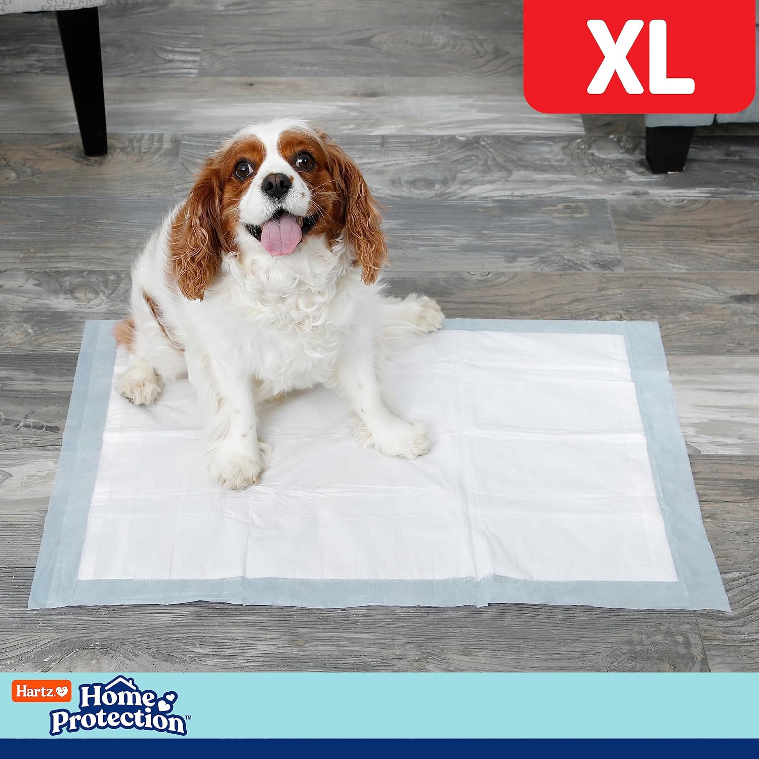 Hartz Home Protection Super Absorbent Odor Eliminating Lavender Scented No Leak Dog Pads,XL 30 count
