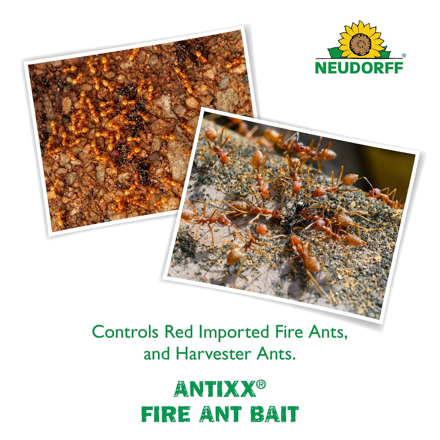 Neudorff Antixx Fire Ant Bait Controls Fire Ants for up to 2 Months 2 LBS.