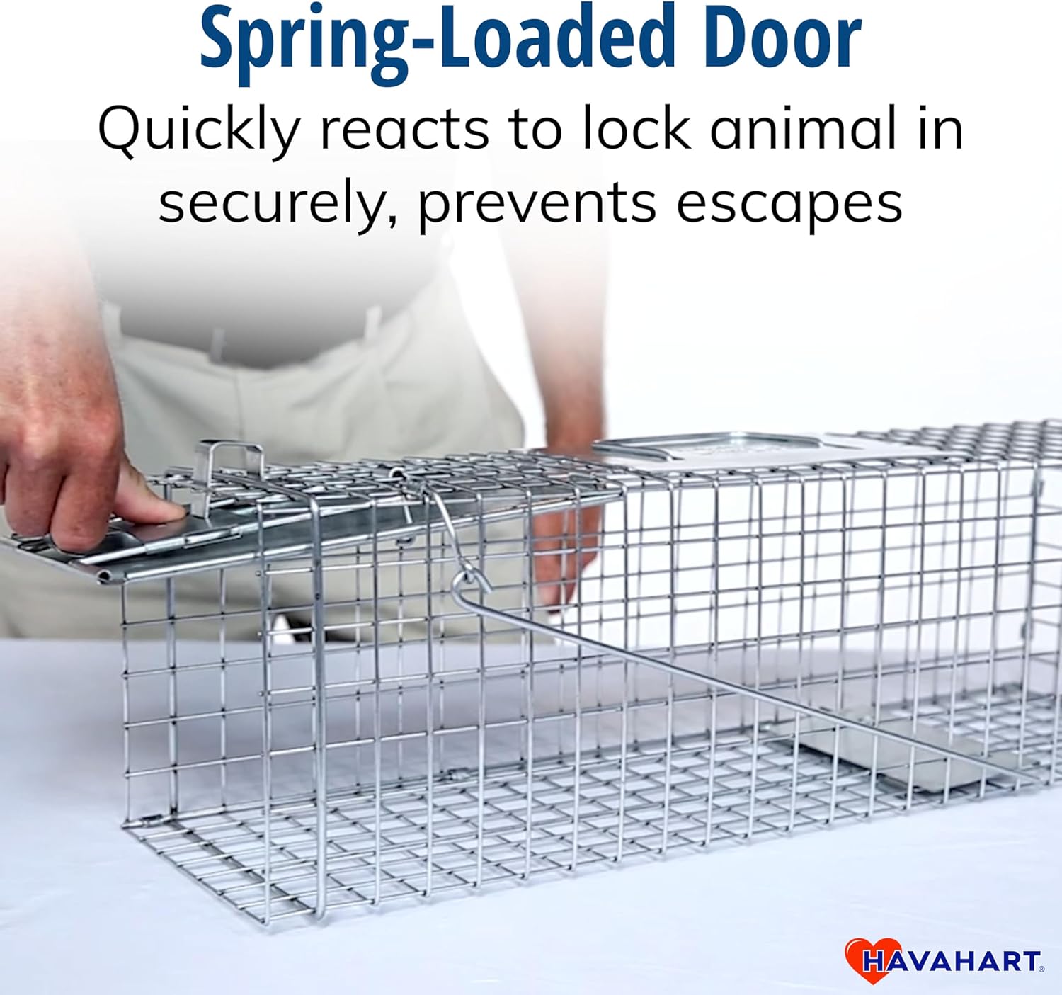 Havahart Medium 1-Door Live Animal Trap, Galvanized Steel Cage | Humane Catch and Release for Rabbit, Skunk, Mink, and Squirrel, Spring-Loaded Door